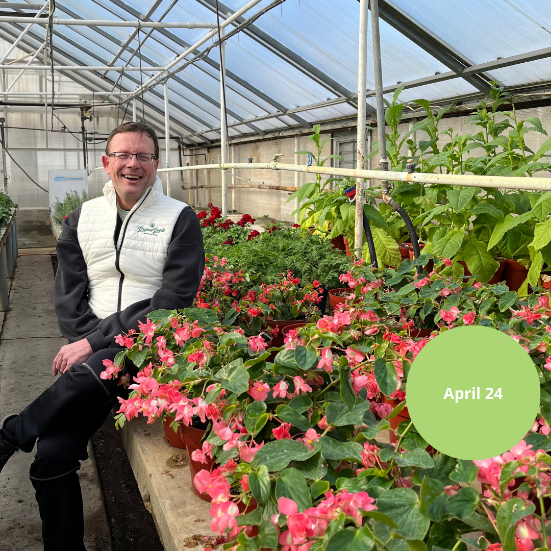 Java and Juice: Greene Goods Market &amp; Greenhouses