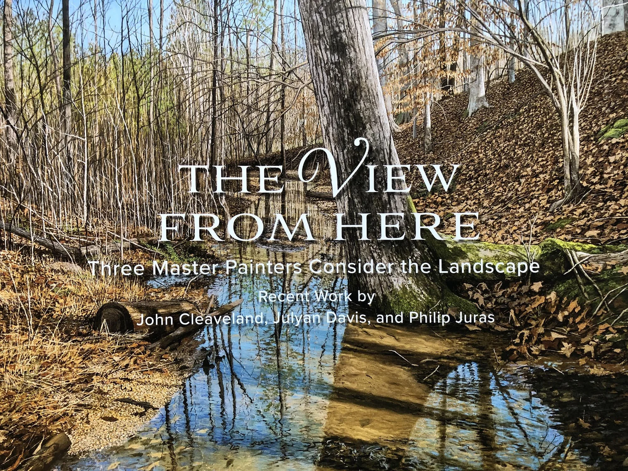 The View from Here at Ace Francisco Gallery in Athens, GA with John Cleaveland, Julyan Davis and Philip Juras