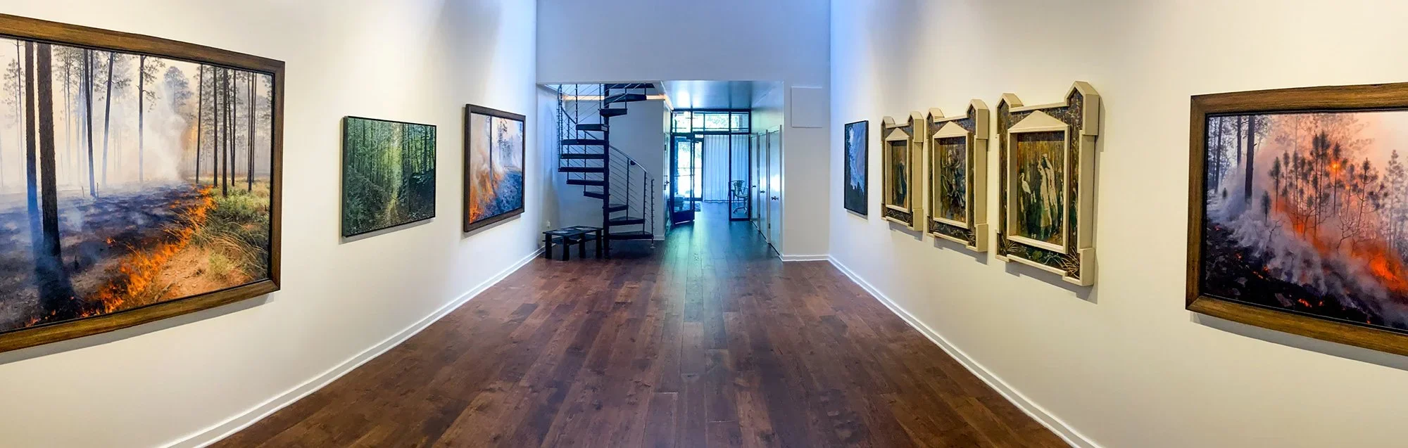 The View from Here at the ACE / FRANCISCO Gallery