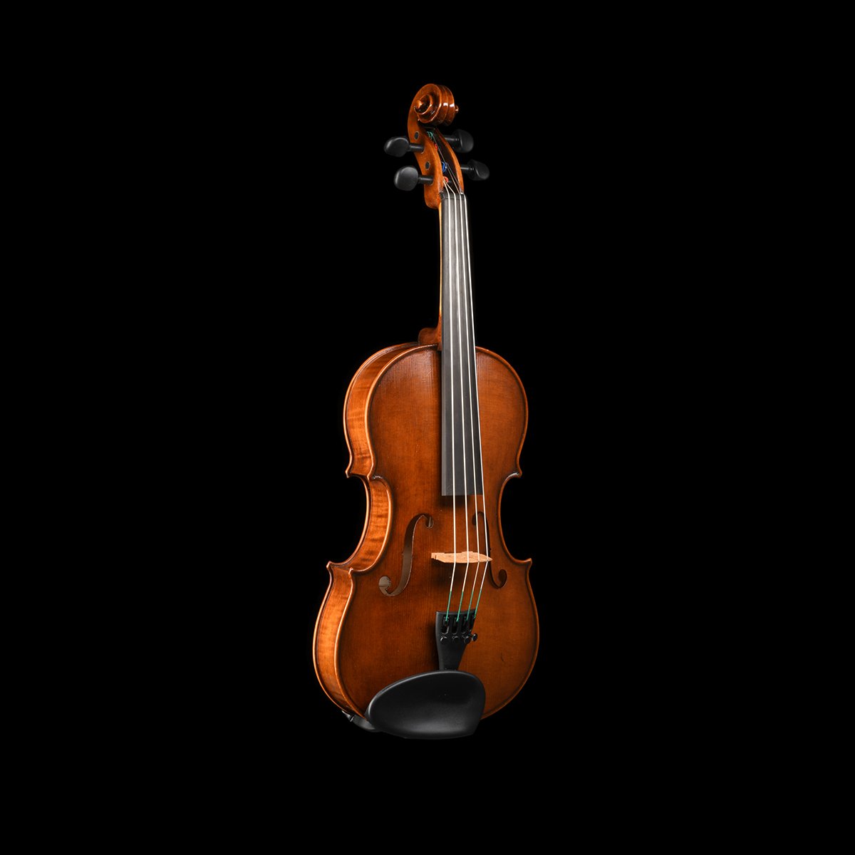 A wooden violin with black tuning pegs and strings, displayed against a black background.