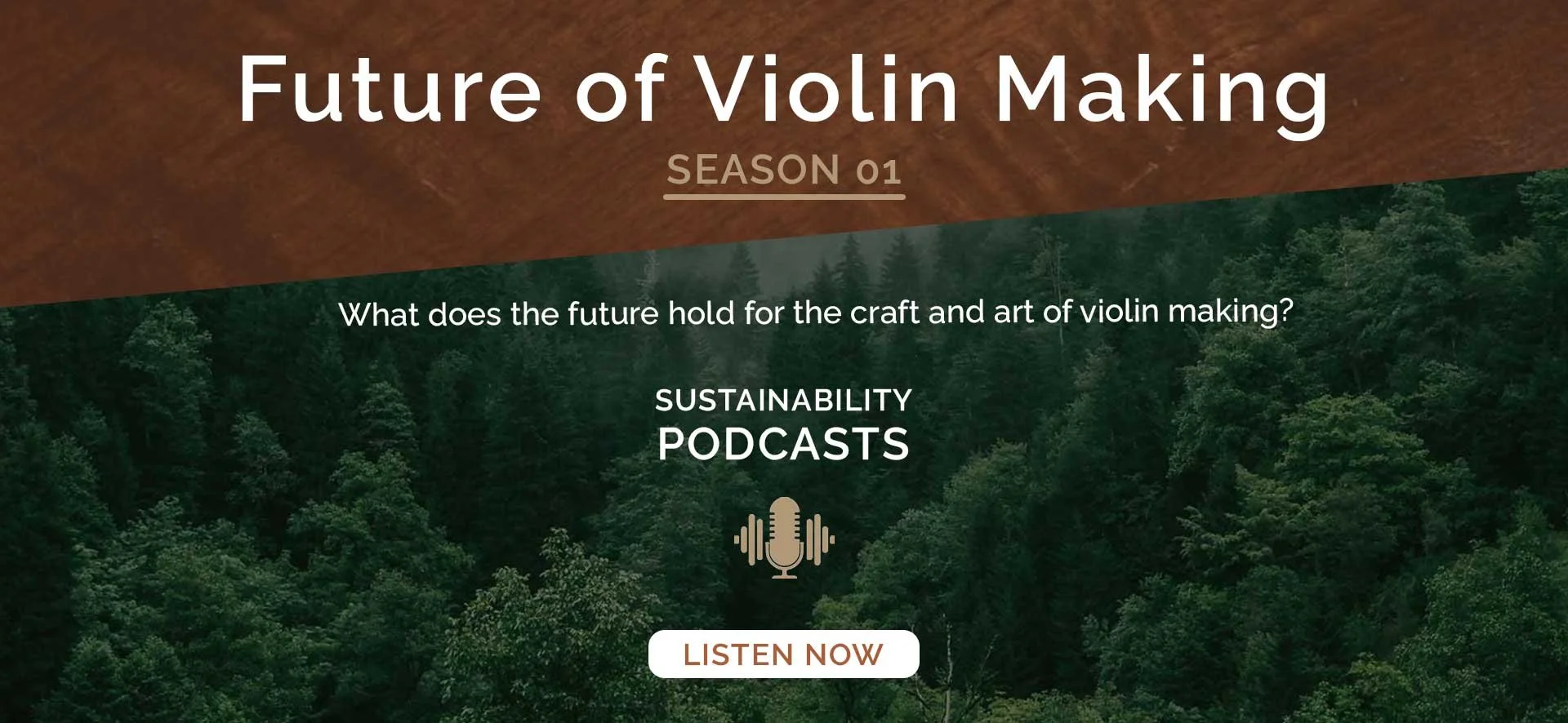 V-Richelieu-eco-friendly-violins-and-violas-fsc-certified-made-in-vermont-usa-available-in-all-sizes.jpg