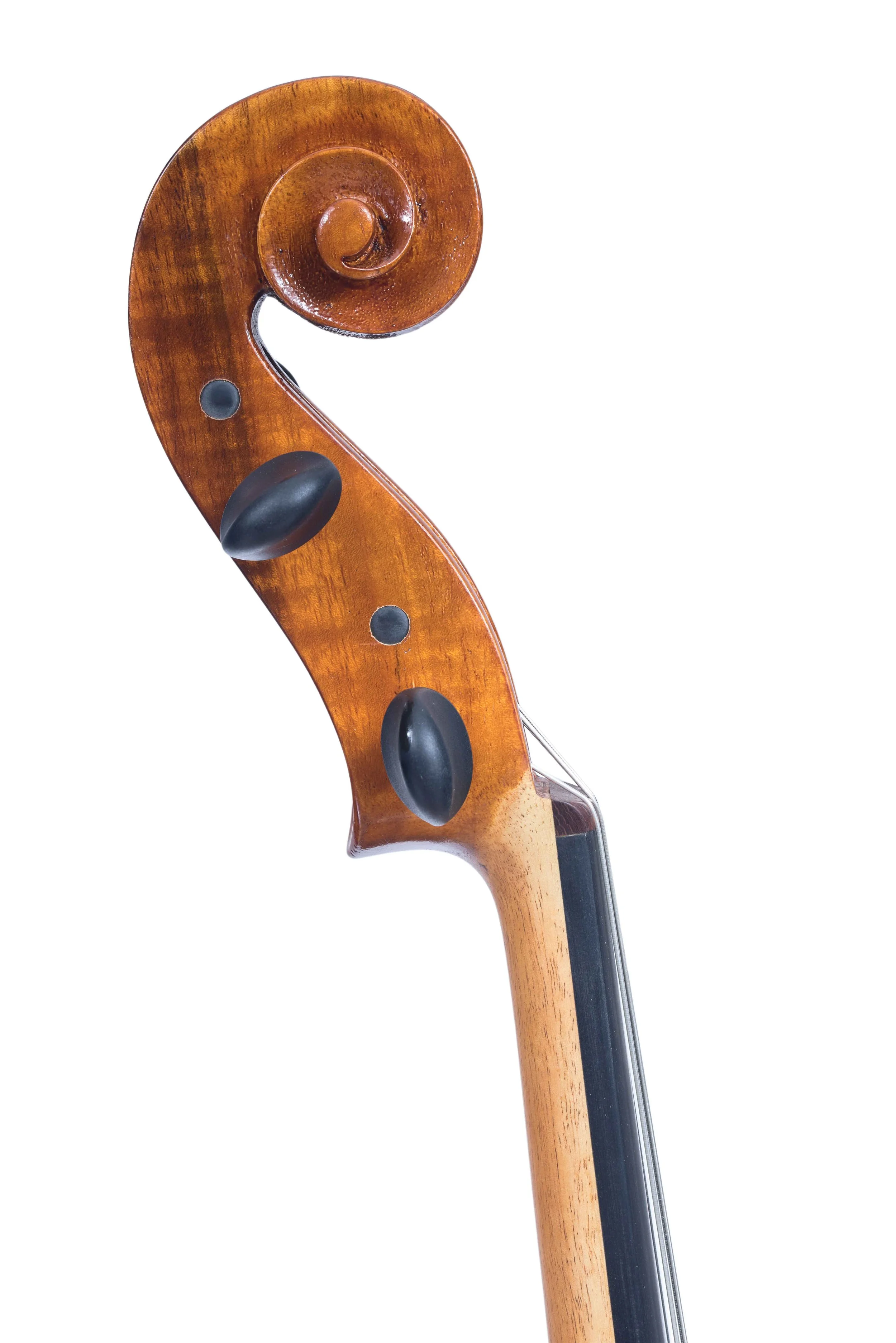 Richelieu_10638-Scroll_L.jpg