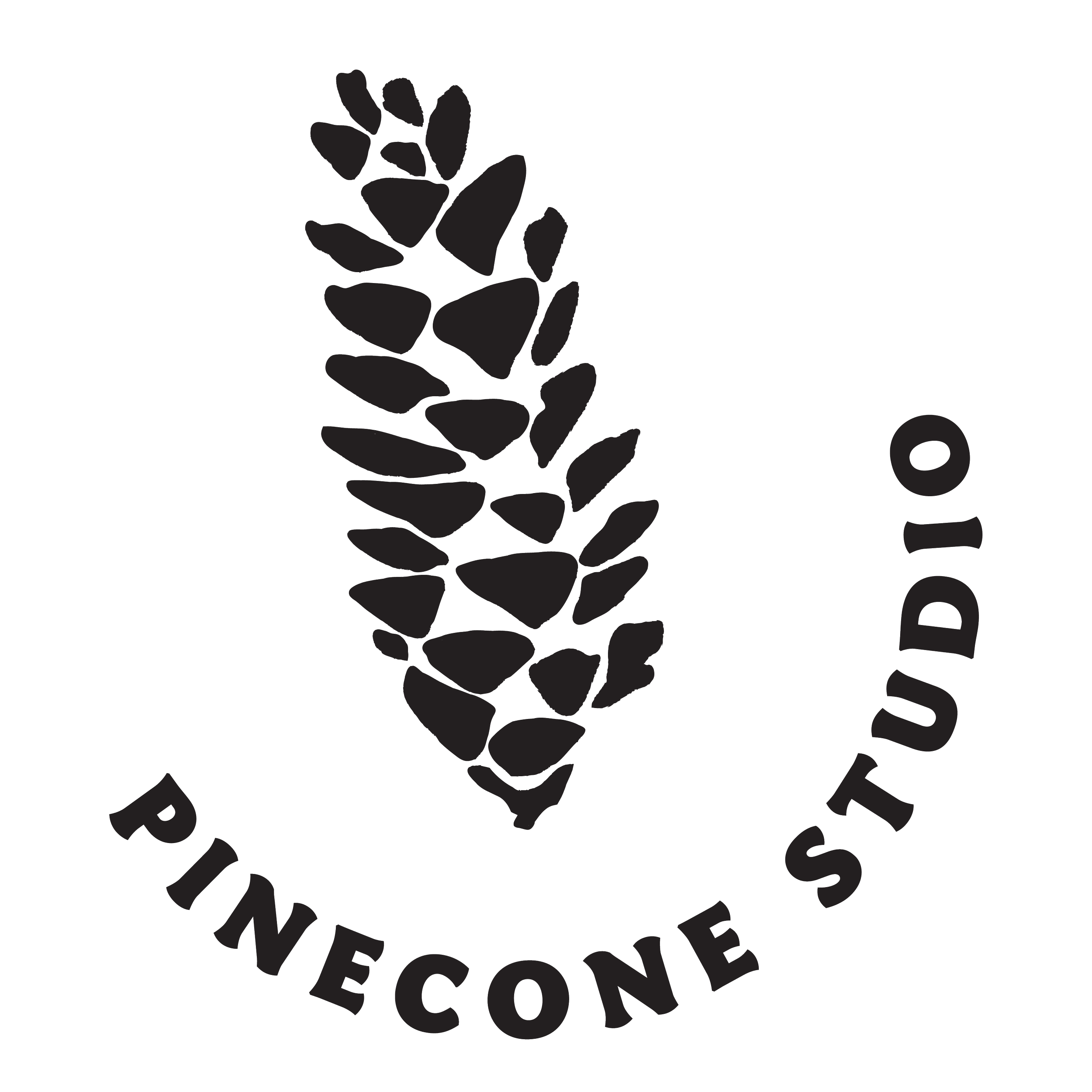 Logo with a pinecone illustration and the text 'Pinecone Studio' surrounding it.