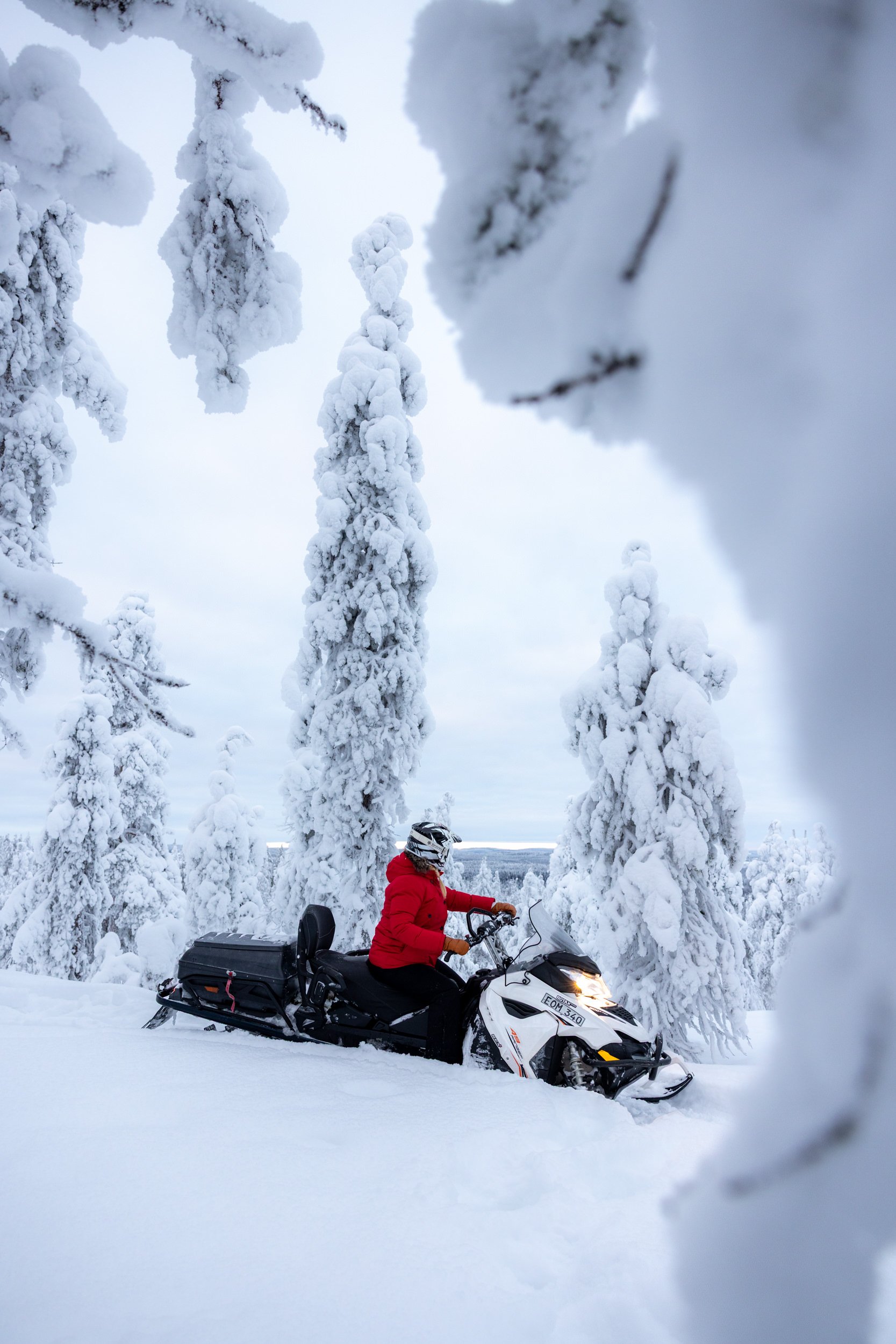 Heart of Lapland 06.jpg