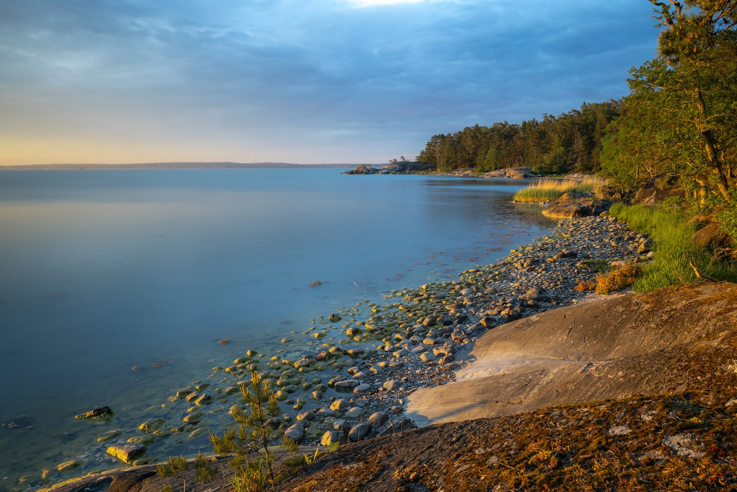 Archipelago 83.jpg