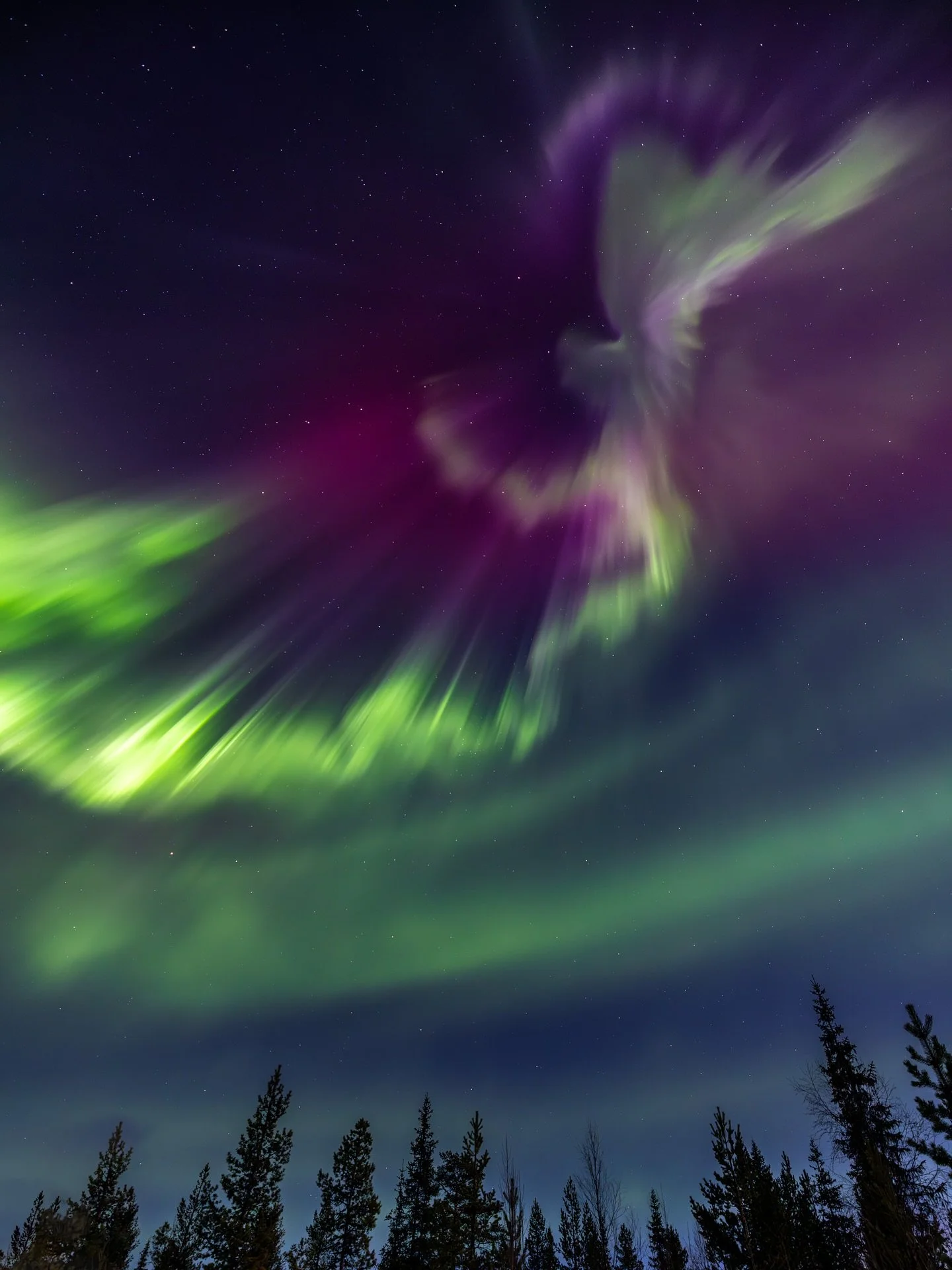 Happy Friday with some of my favorite Aurora moments from last season when the sky just exploded 🤯.

Are you planning to capture some amazing Aurora shows this winter?

Comment &rdquo;aurora&rdquo; and I will send you the details about my free Webin