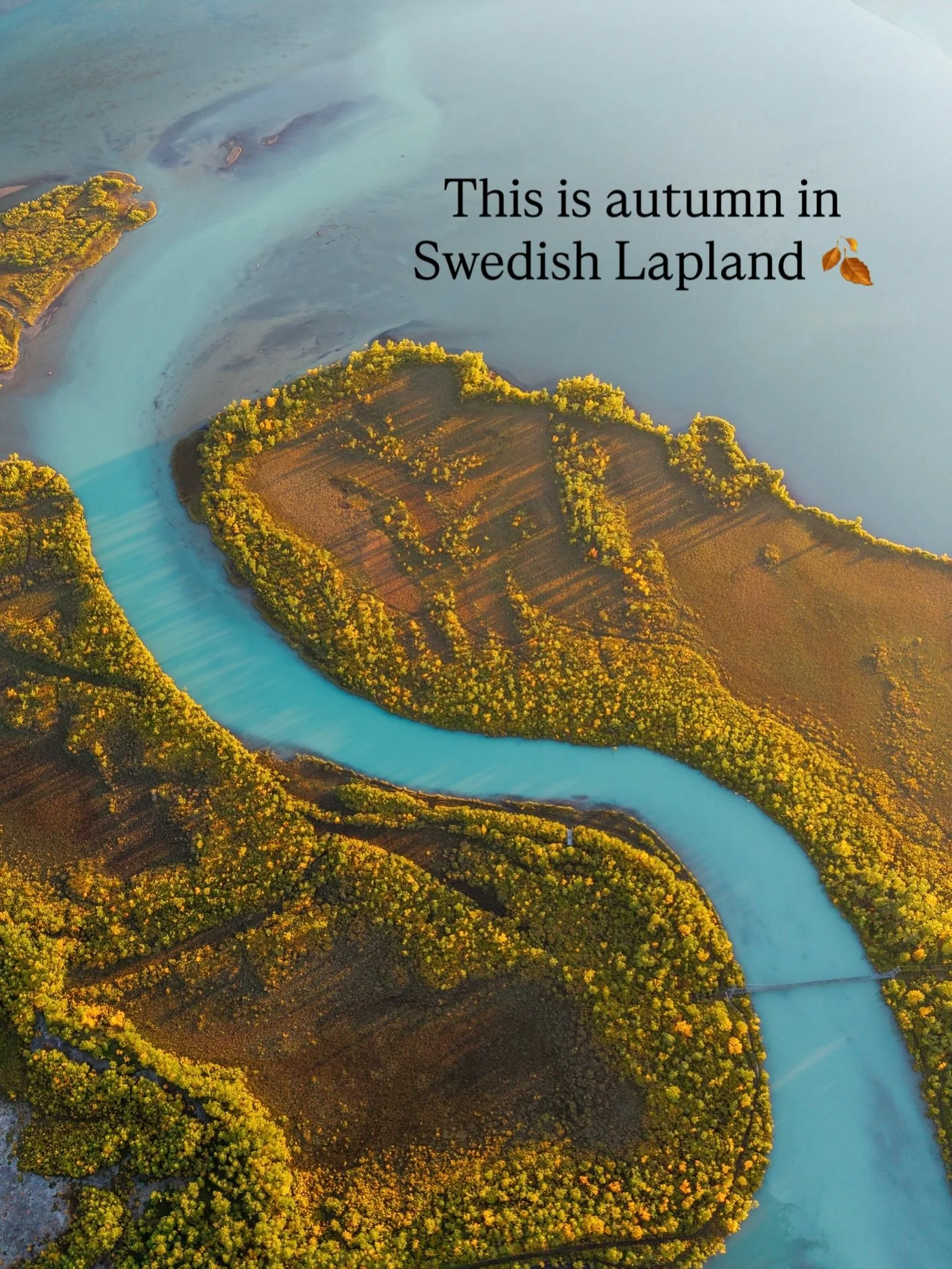 No AI, just pure autumn magic from Swedish Lapland 🍂. 

In September I have visited the national parks Abisko and Stora Sj&ouml;fallet for the very first time in their autumn dress. 

I was really blown away by the beauty of this area in autumn and 