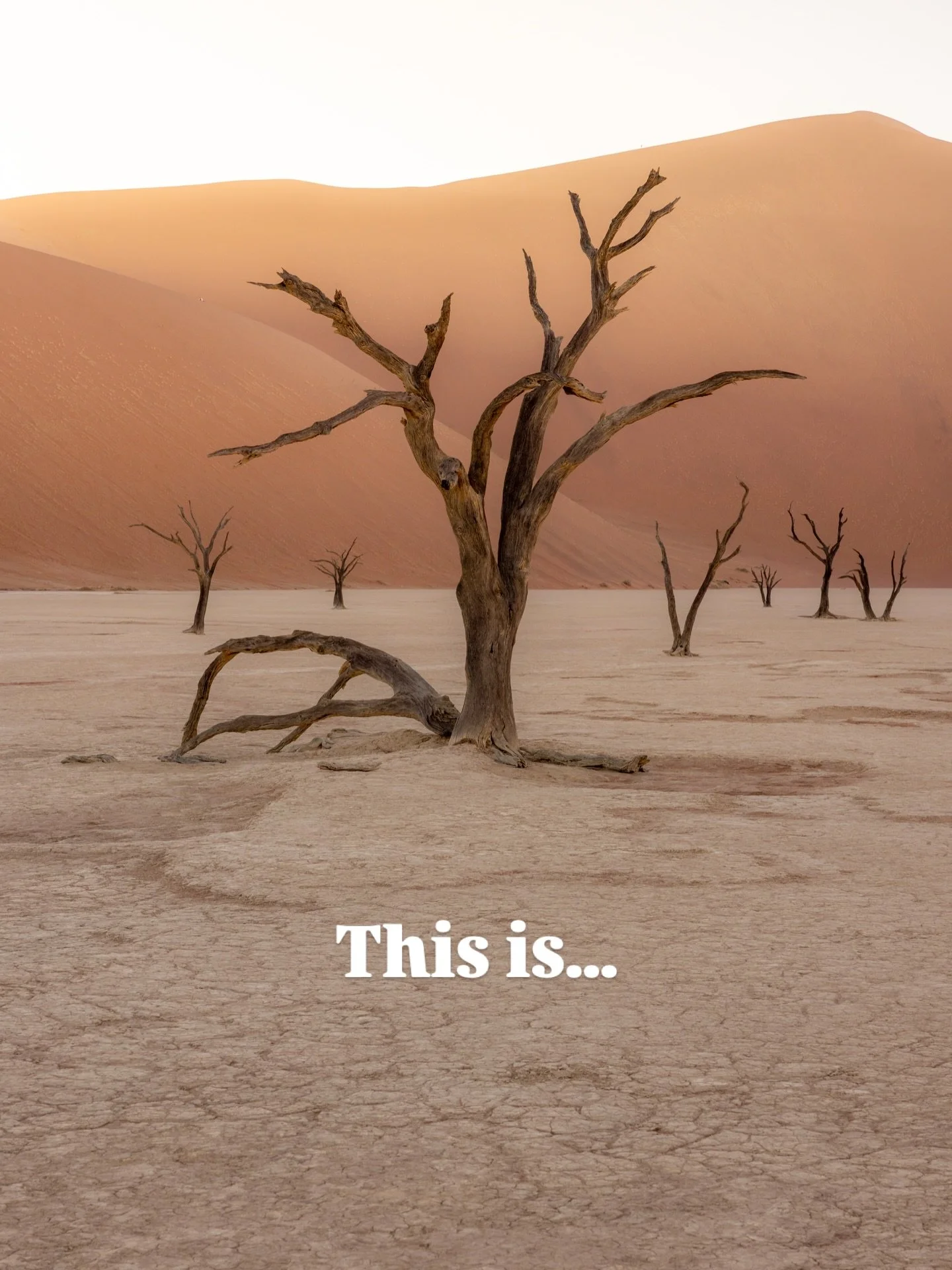 Breaking the winter mood with a couple of photos from our recent trip to Namibia 🇳🇦. And what a trip that was 🤯!!!

Namibia felt like stepping into another world &mdash; a place where the desert meets the ocean and the most beautiful animals roam 