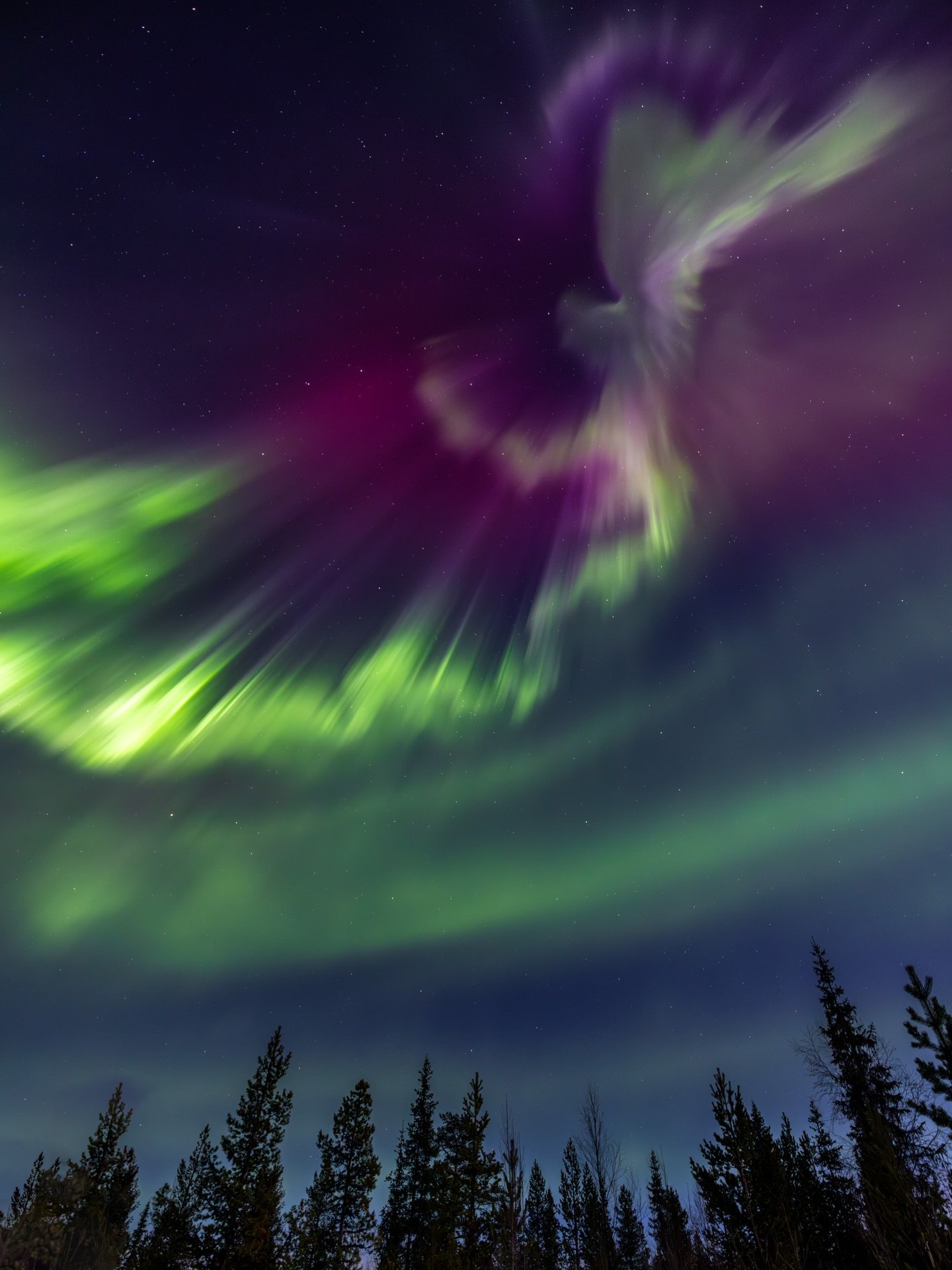 Here are of my favorite Northern Lights photos that I have taken throughout the last years 🎆.

Which one is your favorite?