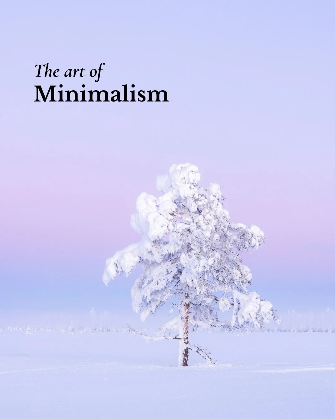 Sometimes we think a great photograph needs a dramatic scene, perfect light or countless elements coming together.

But often, it&rsquo;s the opposite.

A lonely tree standing in an open landscape 🌲
An interesting pattern in the sand or snow ❄️
A sm