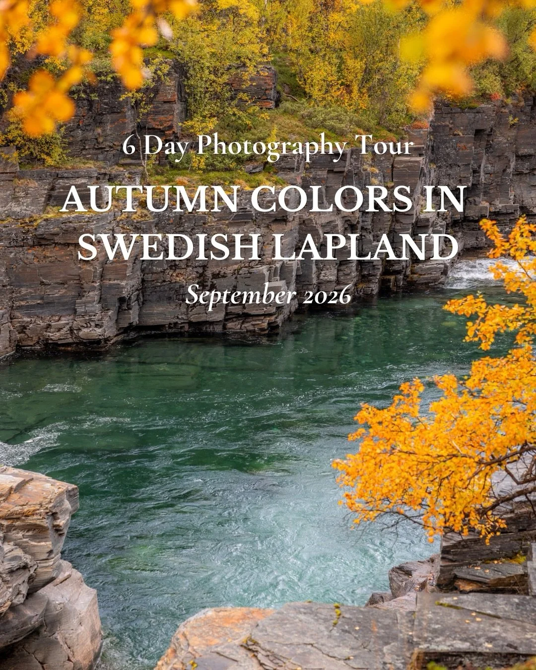 Autumn in Swedish Lapland feels different 🍂.

The landscape turns into deep reds, warm golds and soft light that moves slowly across the mountains. Places like Abisko become something truly special during this time of year.

My 6 Day Photography Tou