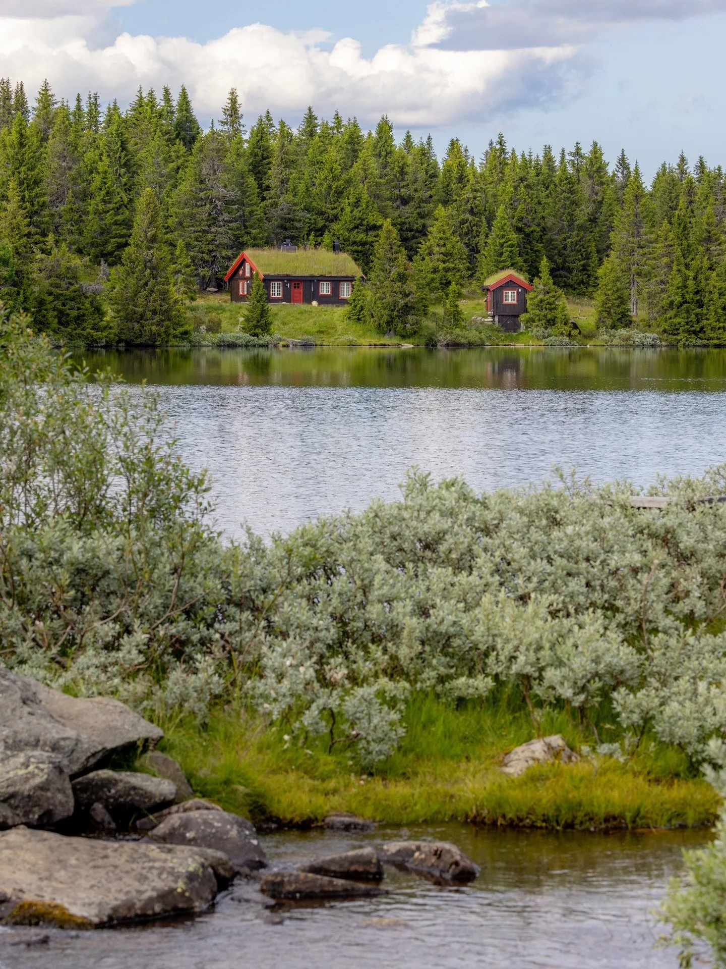 There are places that don&rsquo;t need dramatic mountains or famous landmarks to leave a lasting impression - Sjusj&oslash;en in East Norway is one of them.

Quiet lakes, endless forests, soft meadows and a sense of calm that is hard to describe unti