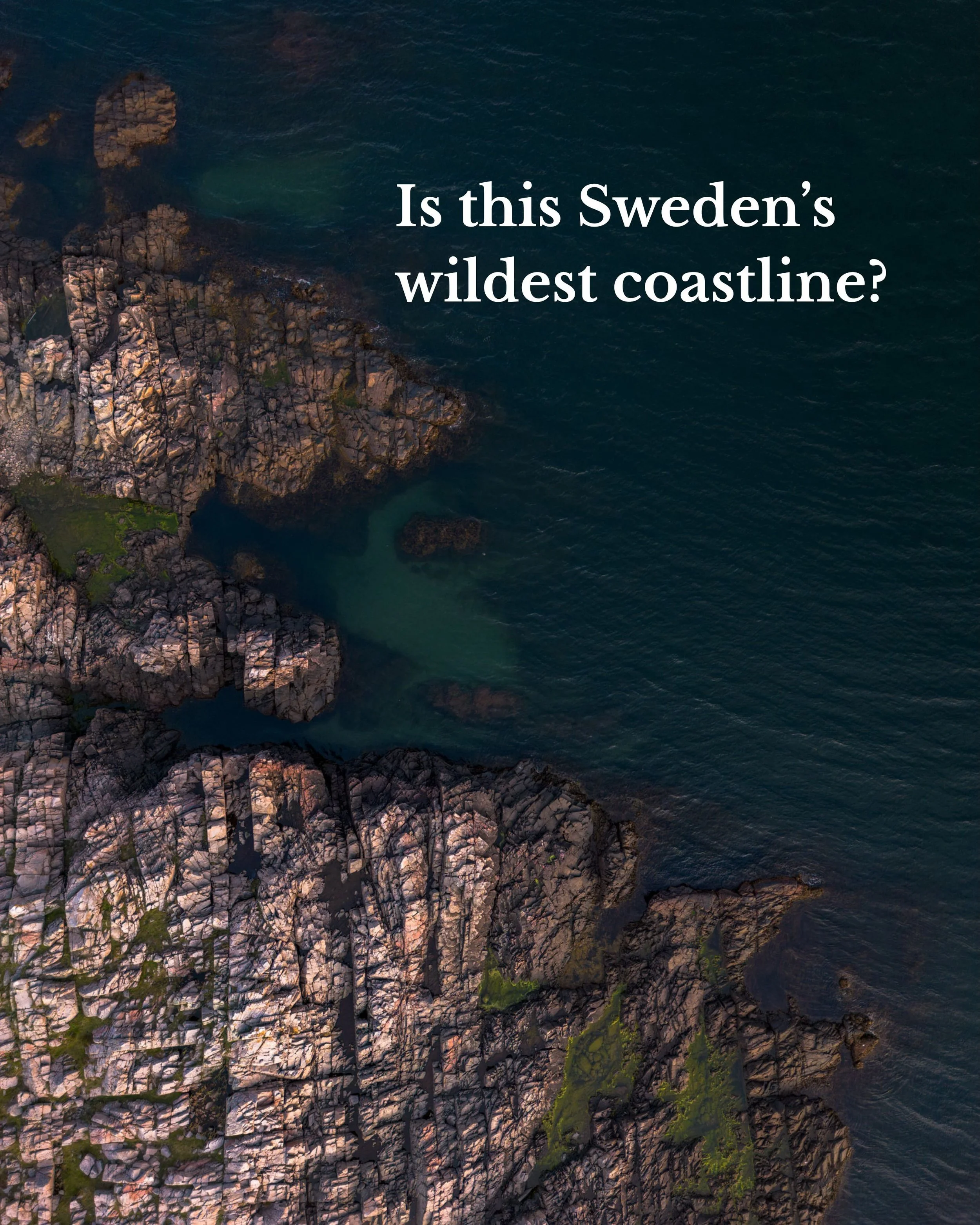 This might be Sweden&rsquo;s wildest coastline 🌊.

Welcome to Kullaberg &mdash; a place where steep cliffs plunge into the sea, rugged rock formations meet dense forests, and narrow trails lead to incredible views over the Kattegat Sea.

Located on 