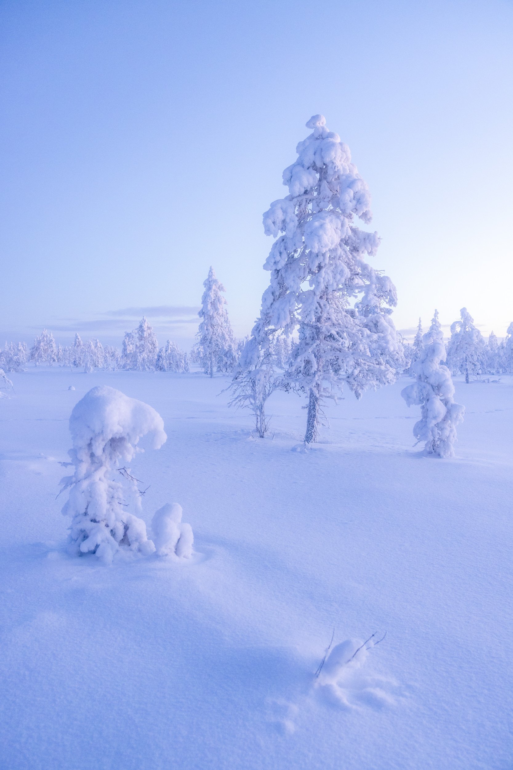 Lapland winter 132.jpg