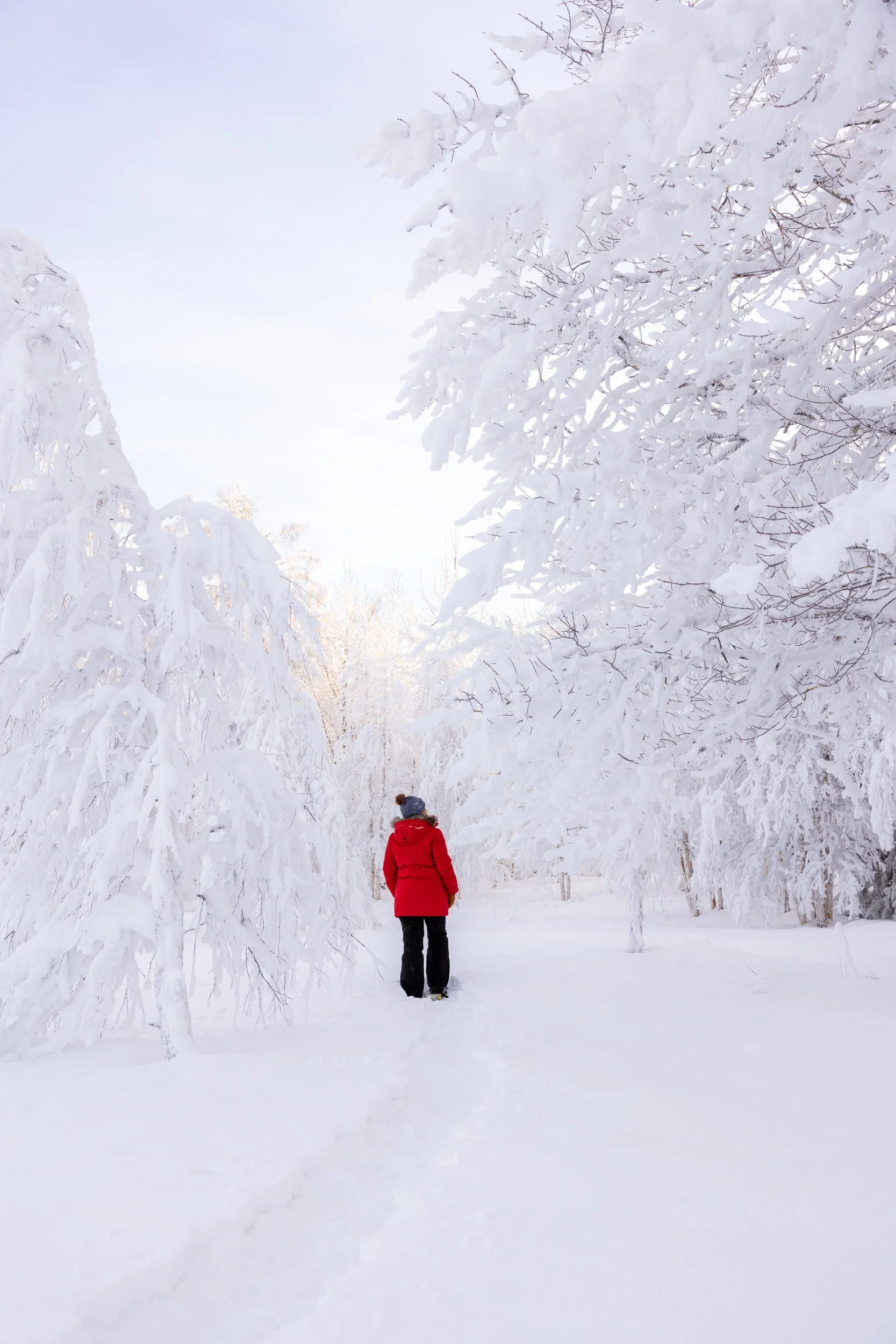 Lapland winter 147.jpg