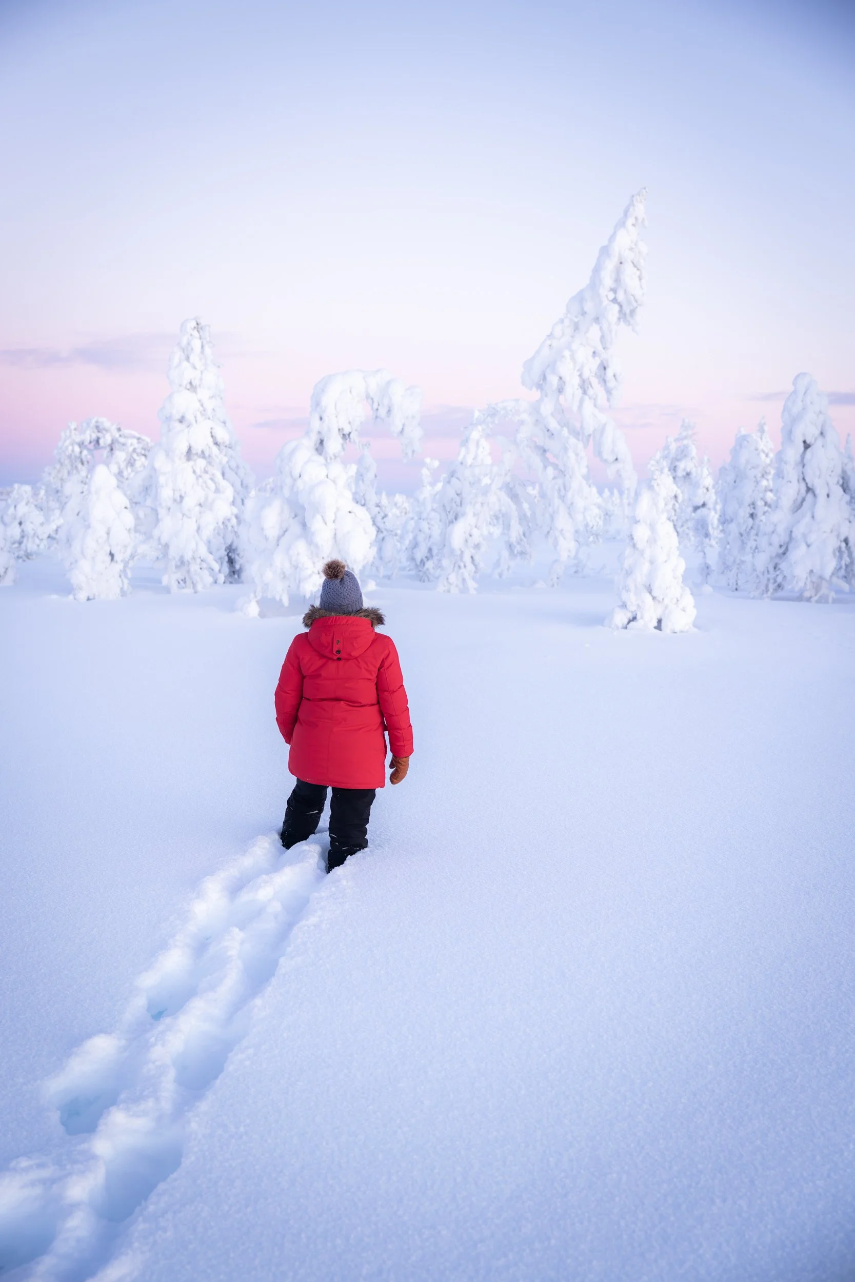 Heart of Lapland 10.jpg