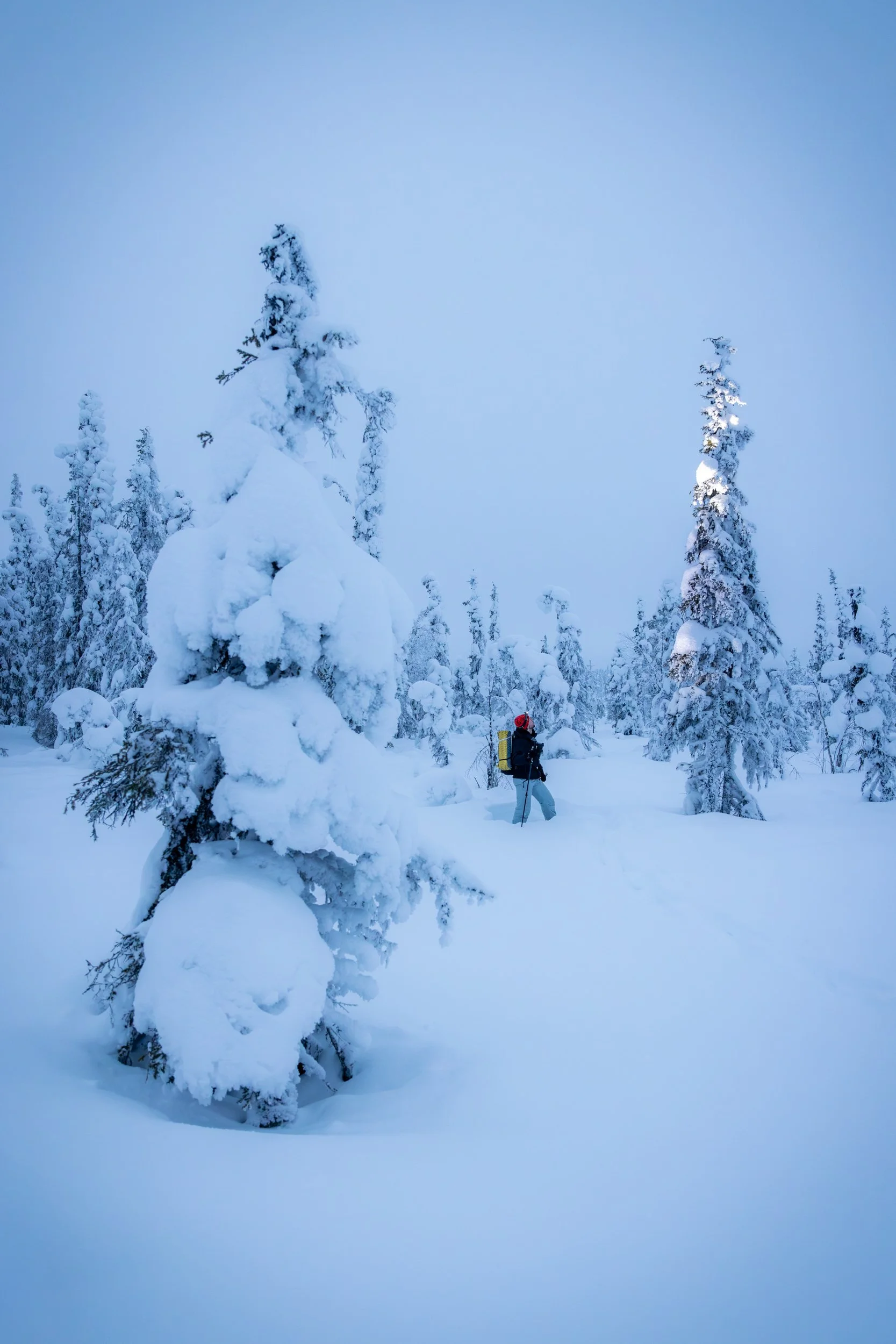 Lapland winter 138.jpg