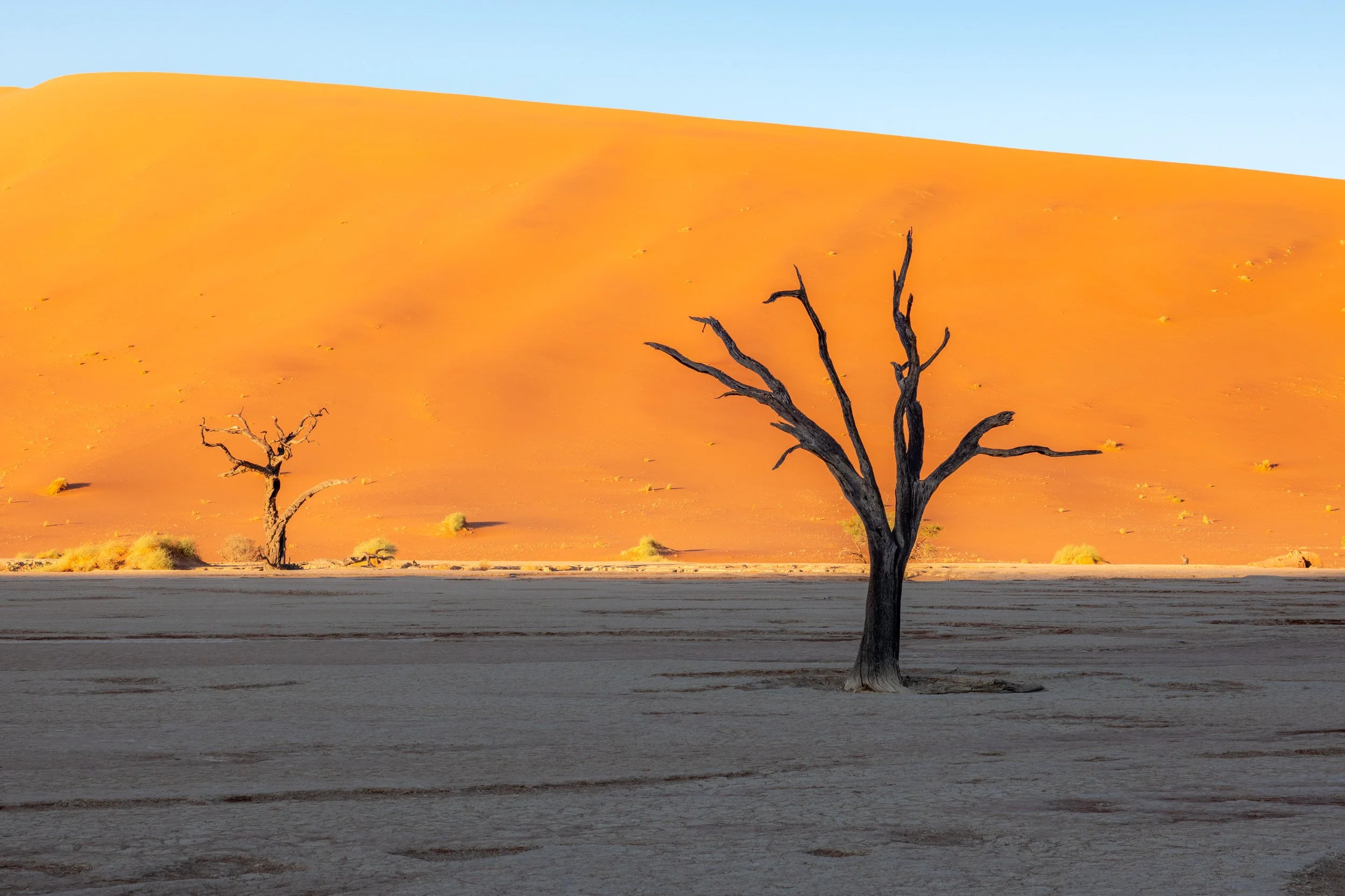 Namibia 52.jpg