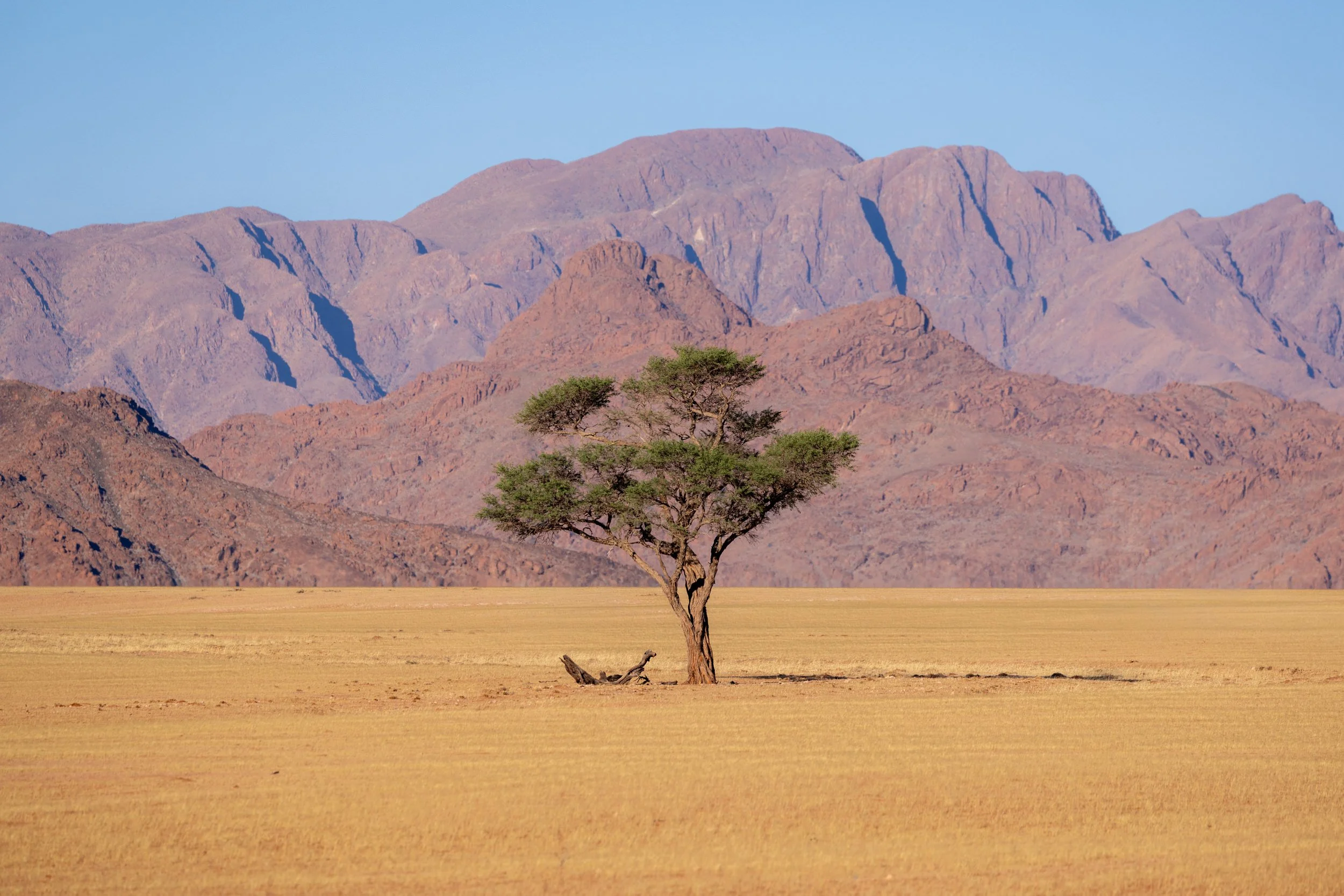 Namibia 75.jpg