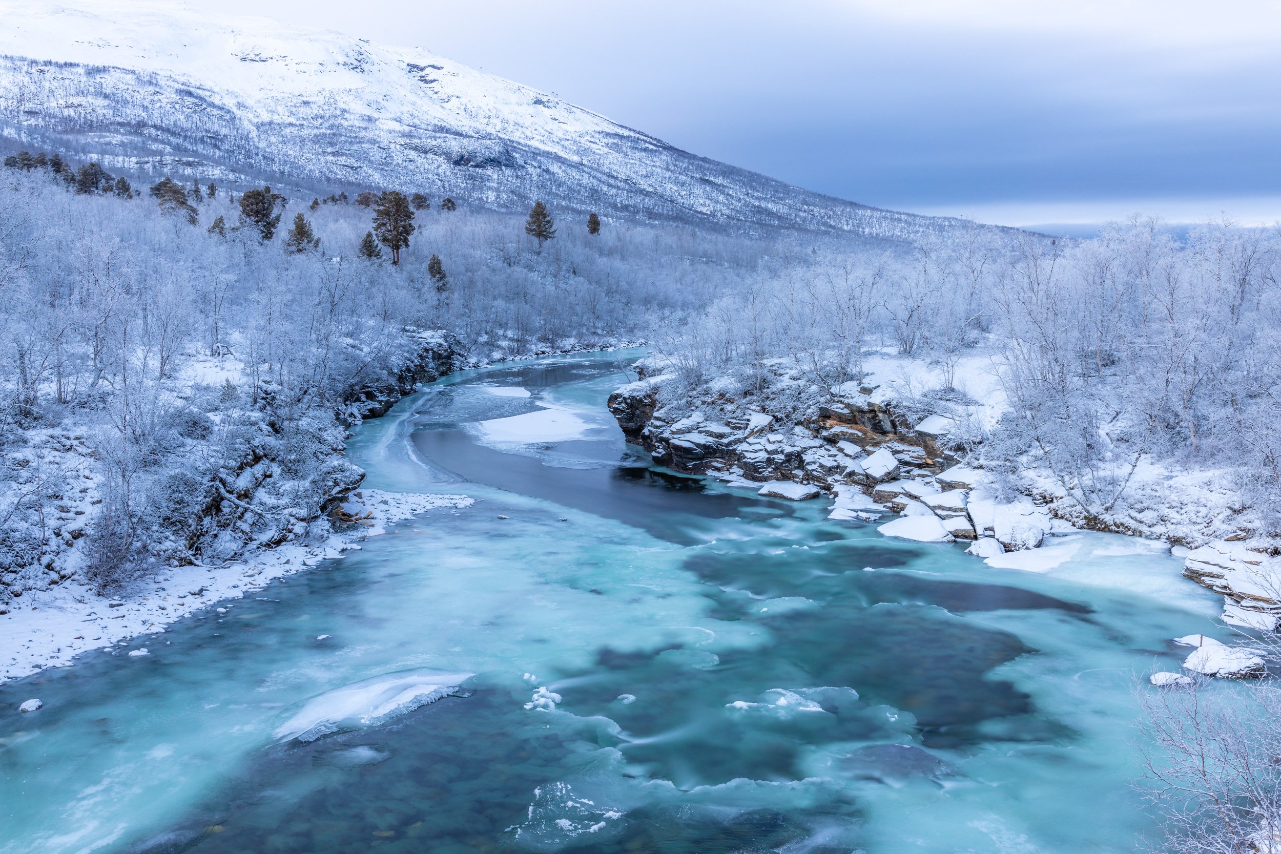 Lapland winter 14.jpg