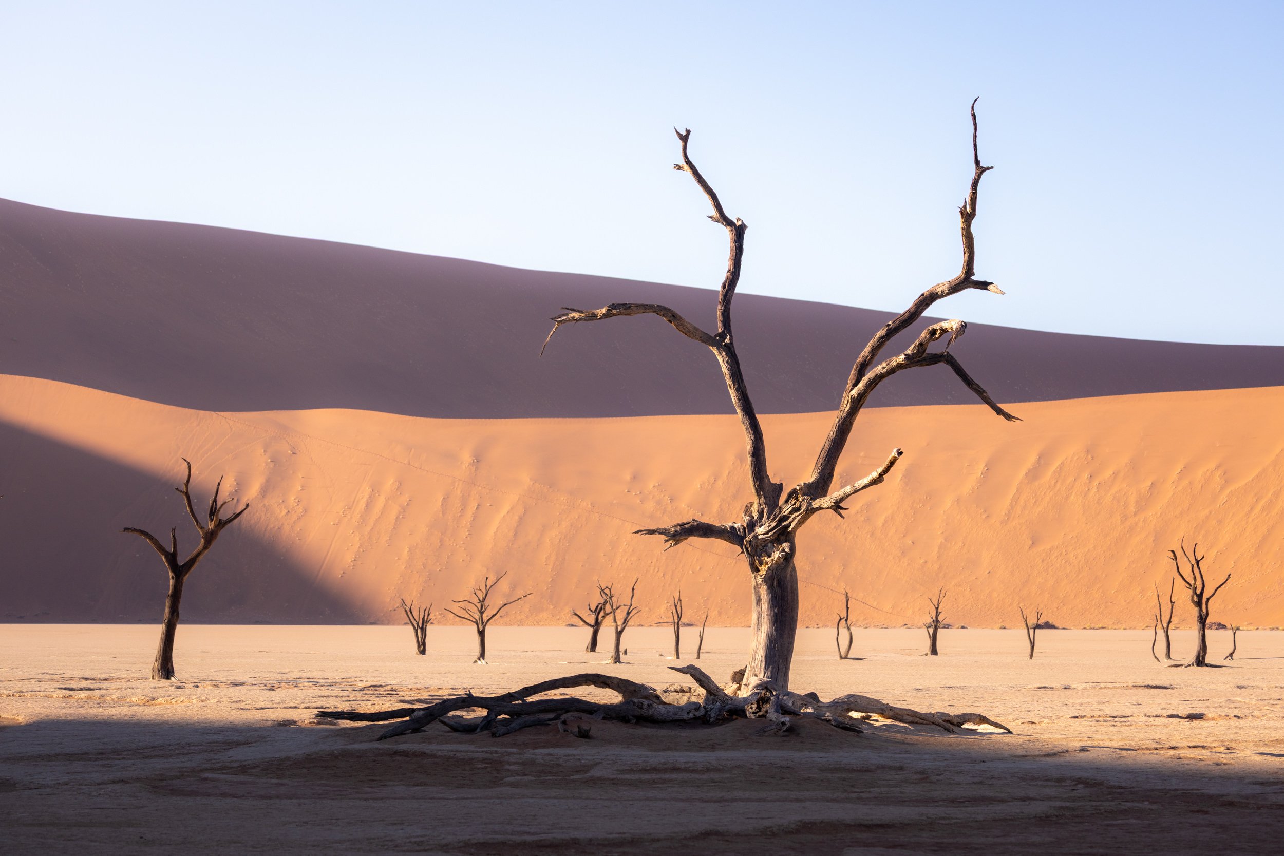 Namibia 78.jpg