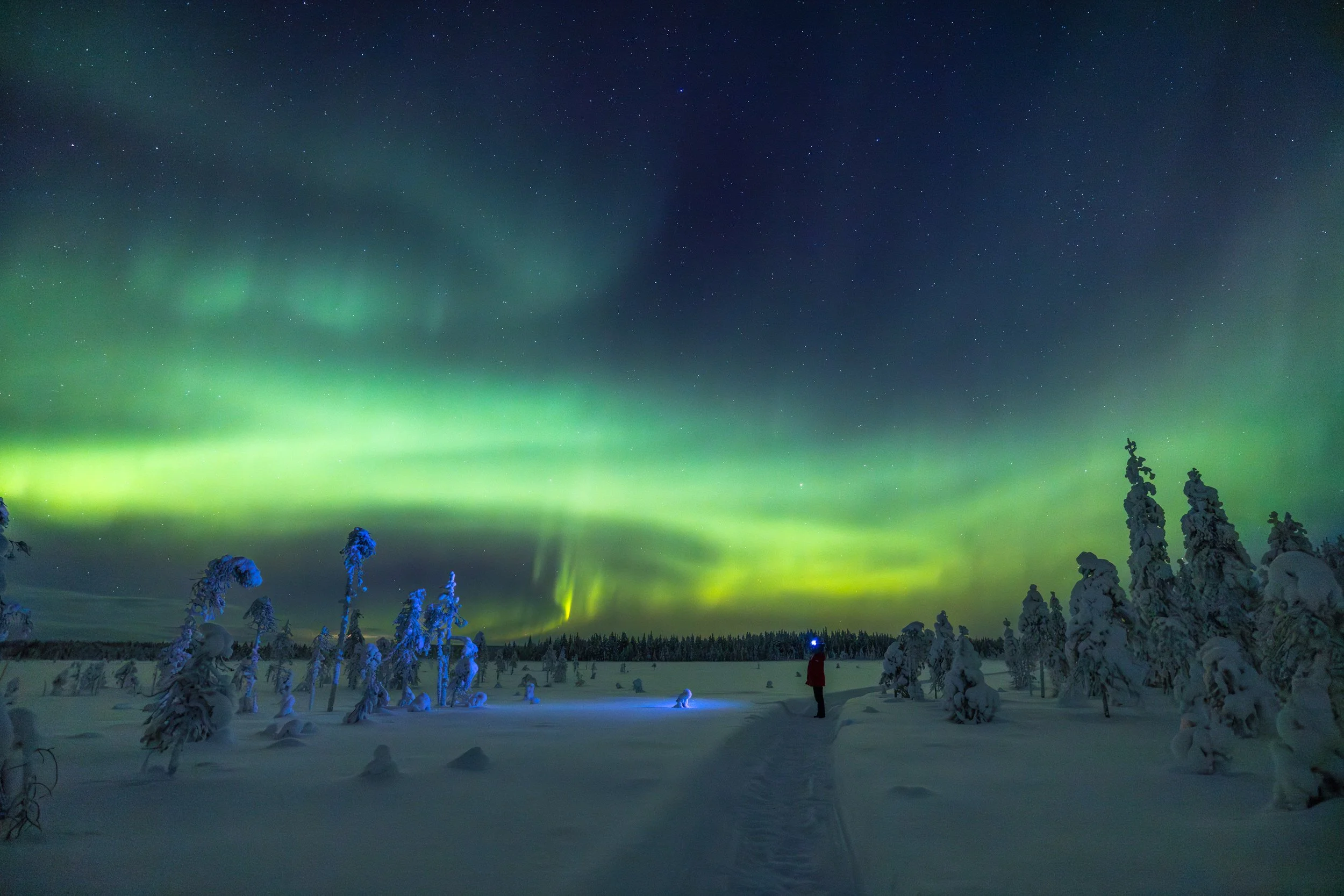 Lapland winter 135.jpg