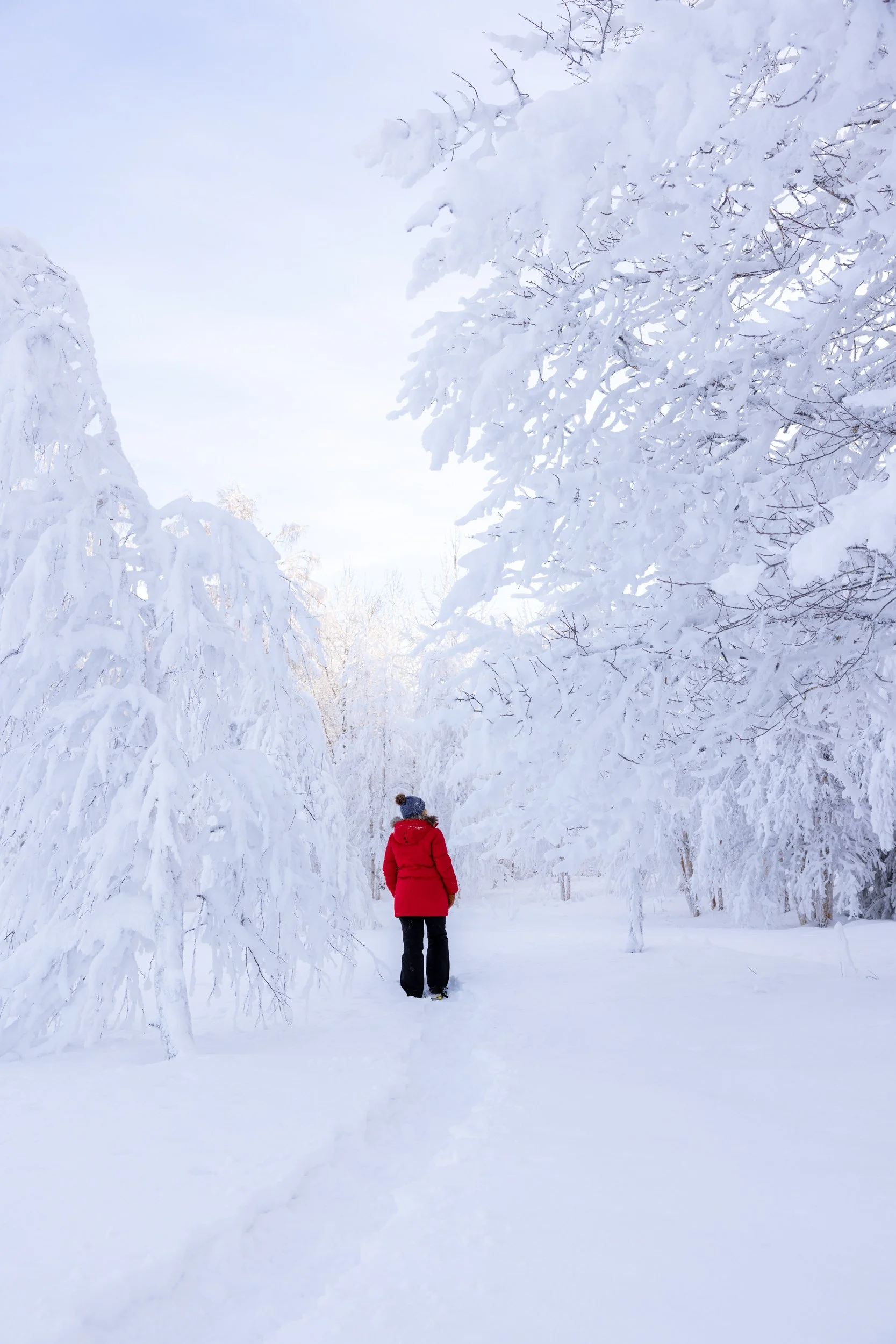 Heart of Lapland 03.jpg