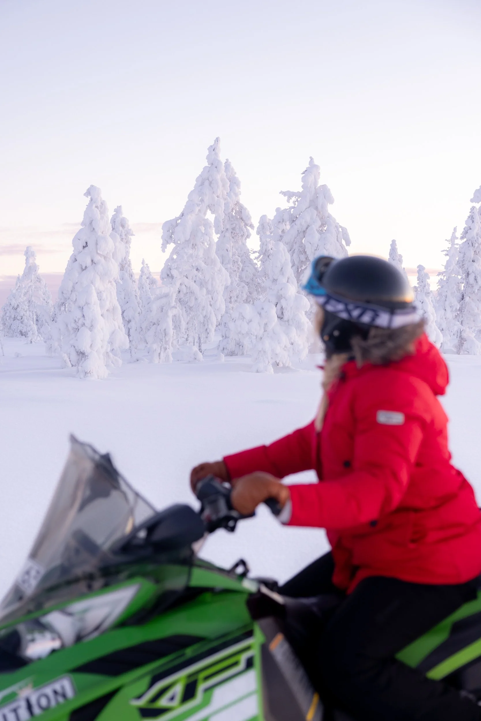 Heart of Lapland 09.jpg