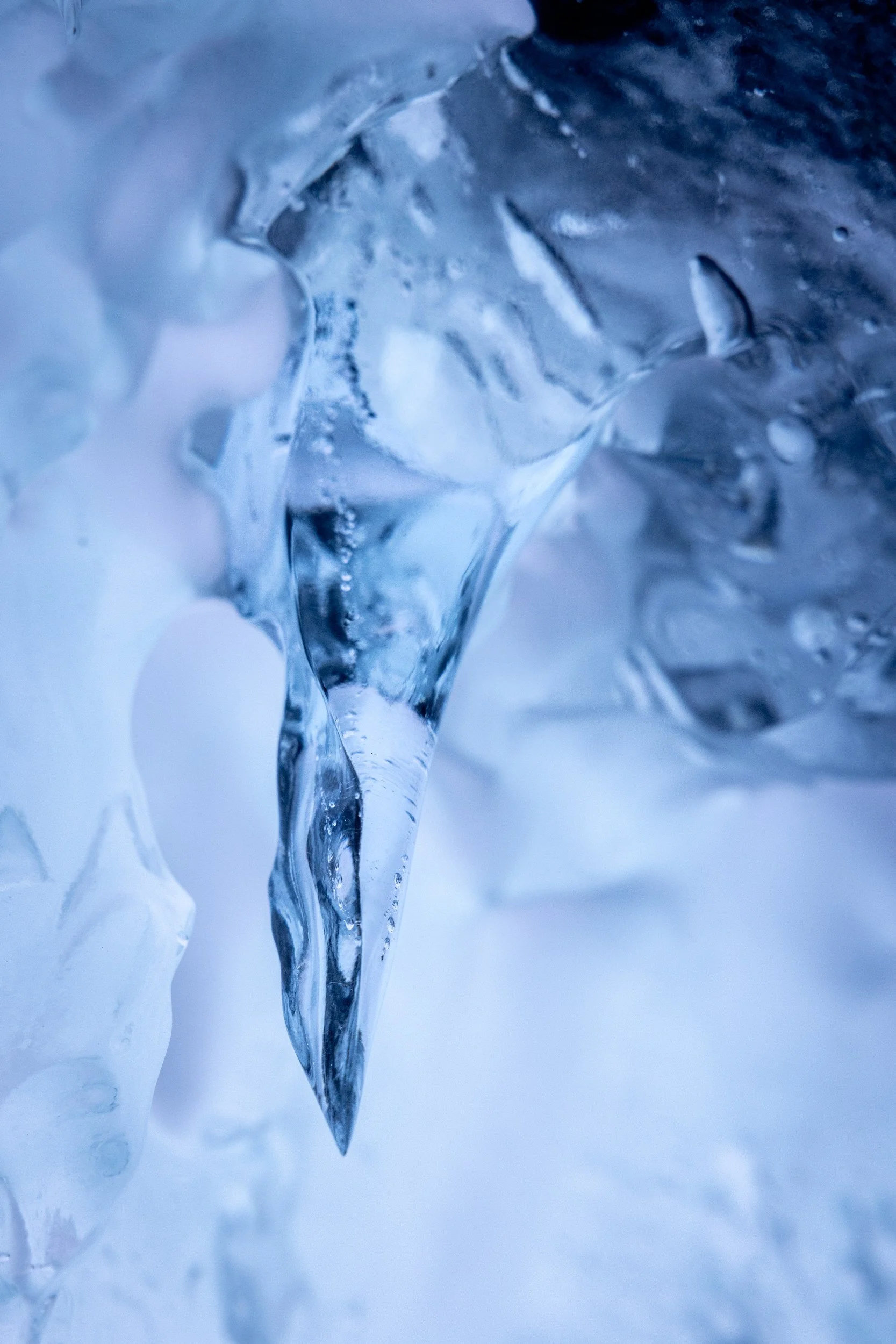 Lapland winter 139.jpg