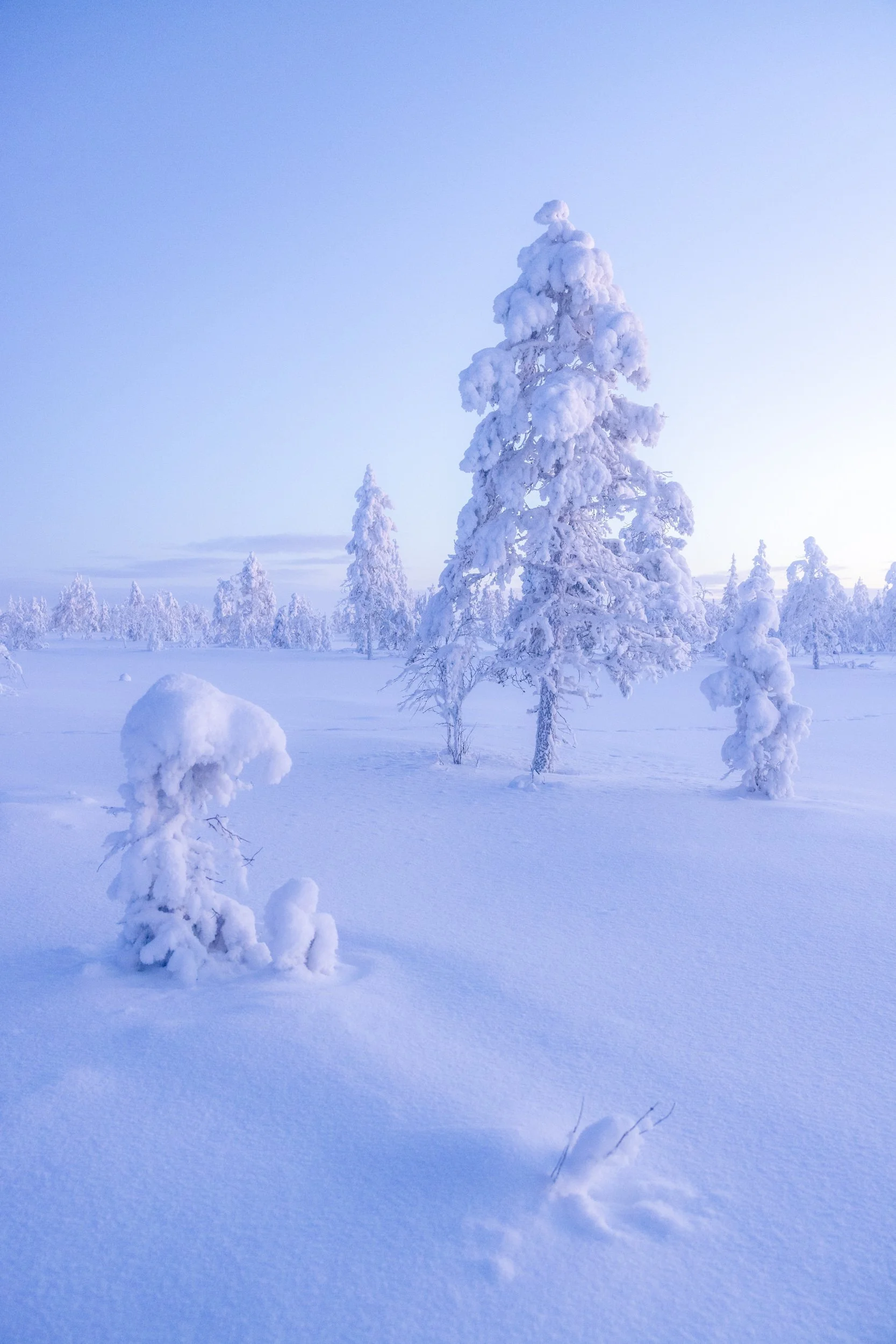 Heart of Lapland 11.jpg