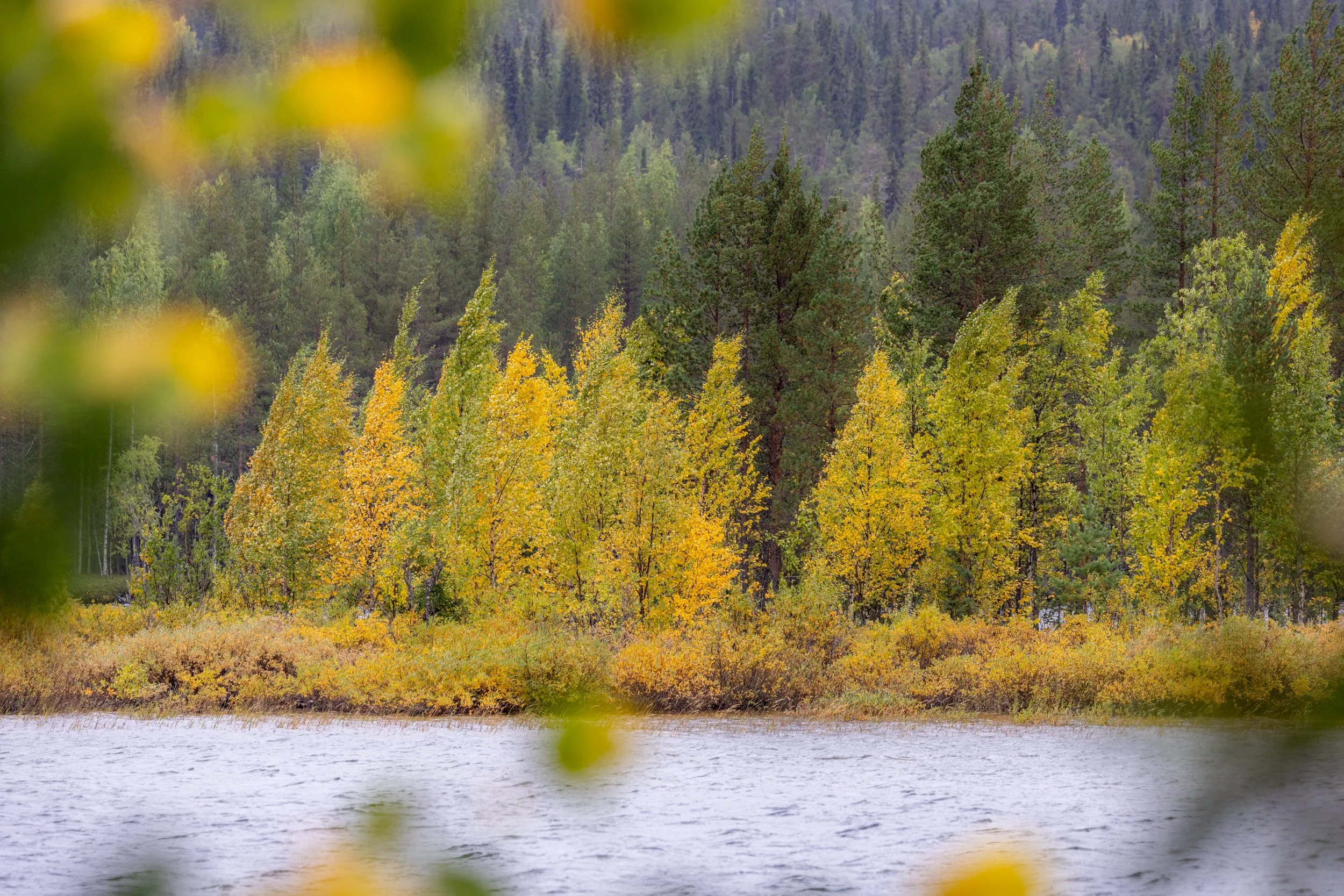 Lapland autumn 29.jpg