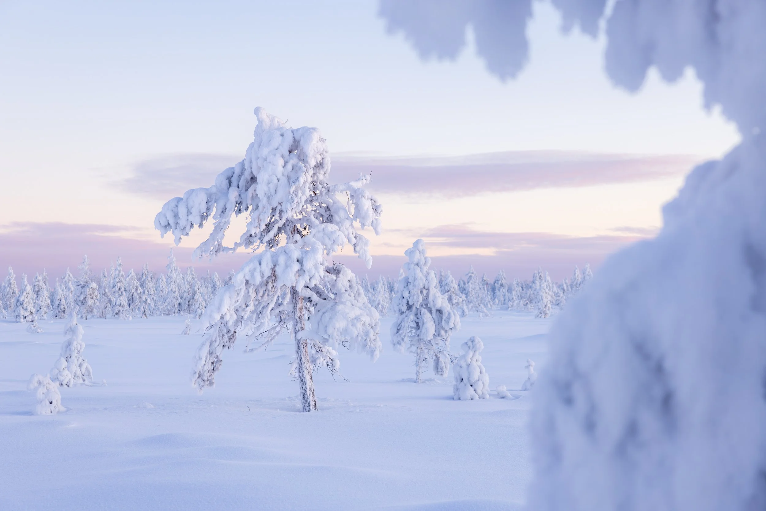 Lapland winter 129.jpg