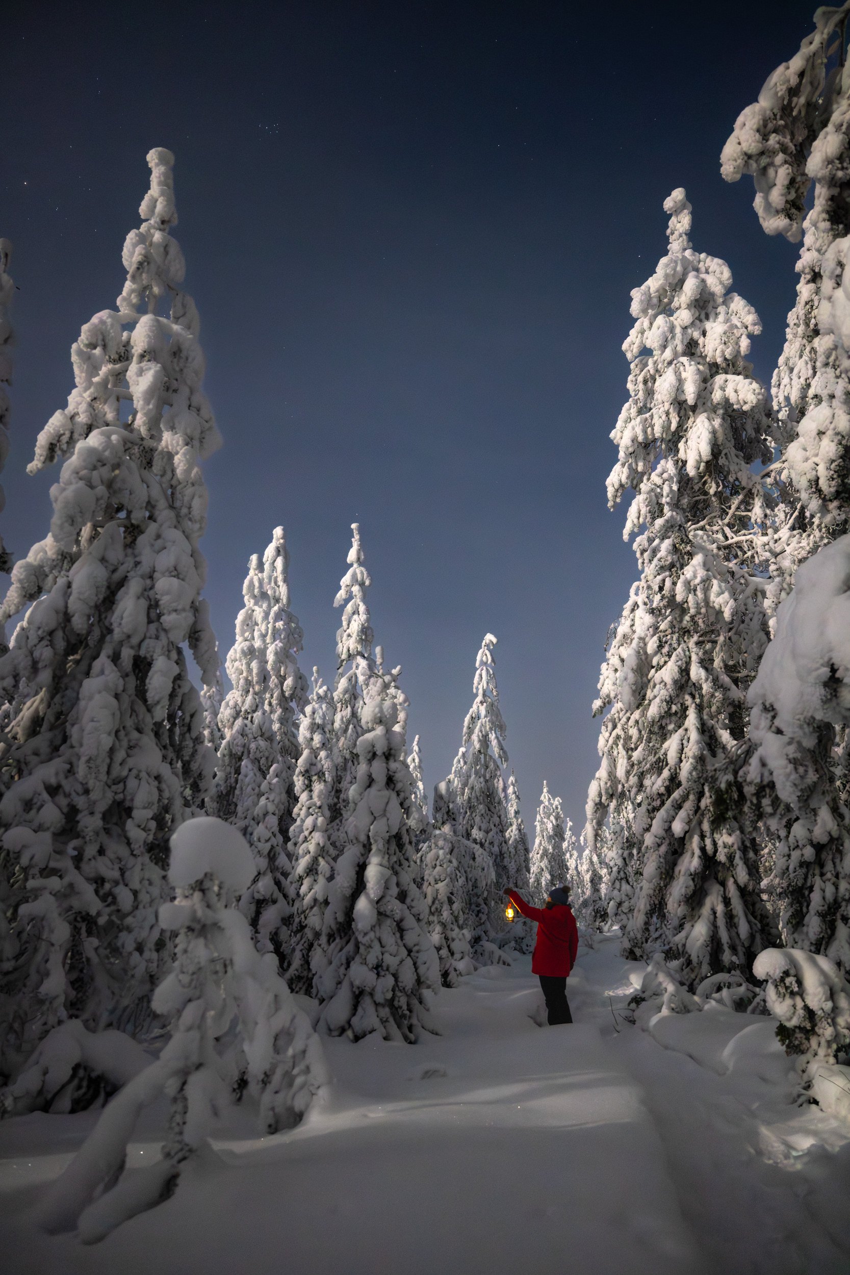 Lapland winter 127.jpg