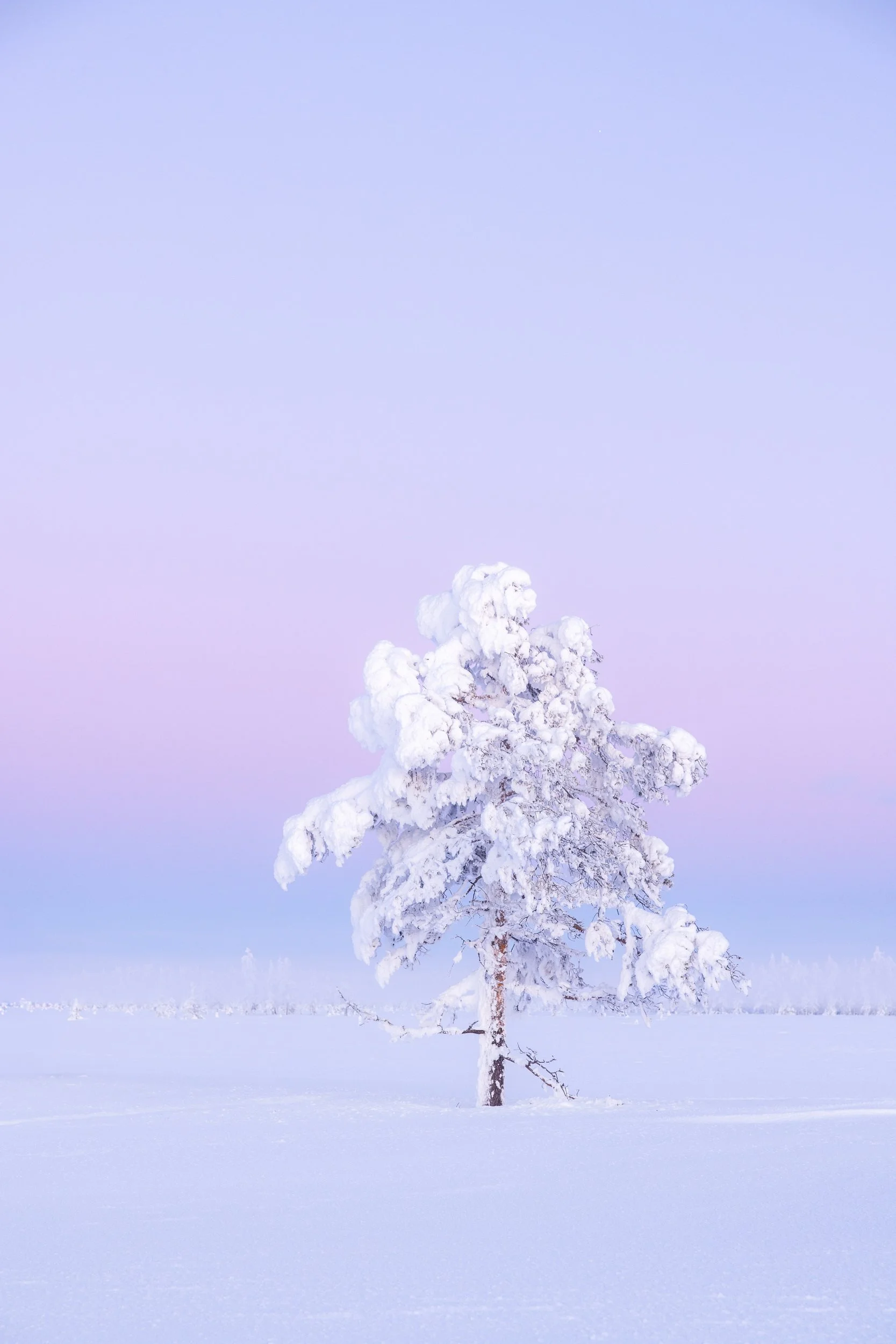 Lapland winter 130.jpg