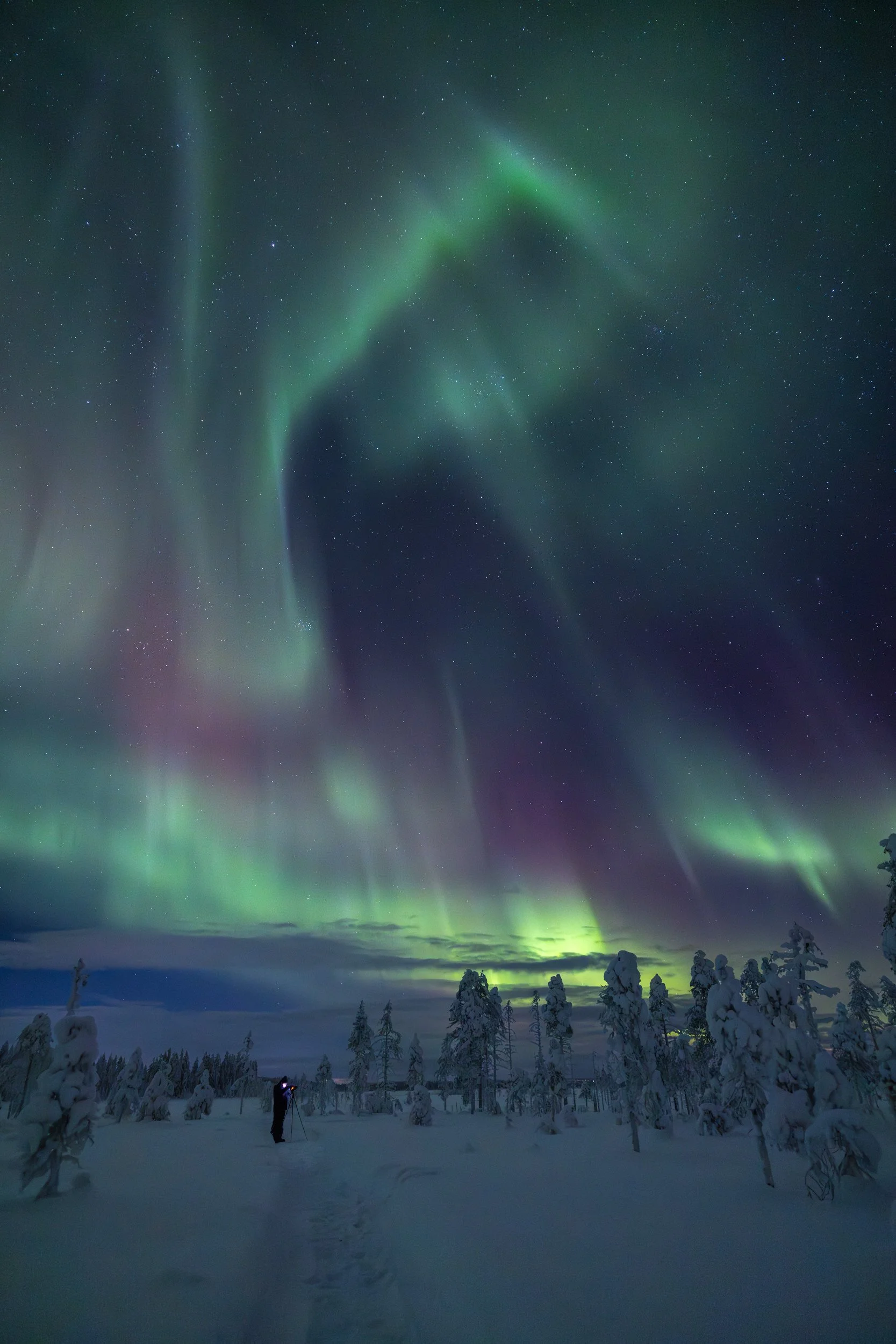 Lapland winter 134.jpg