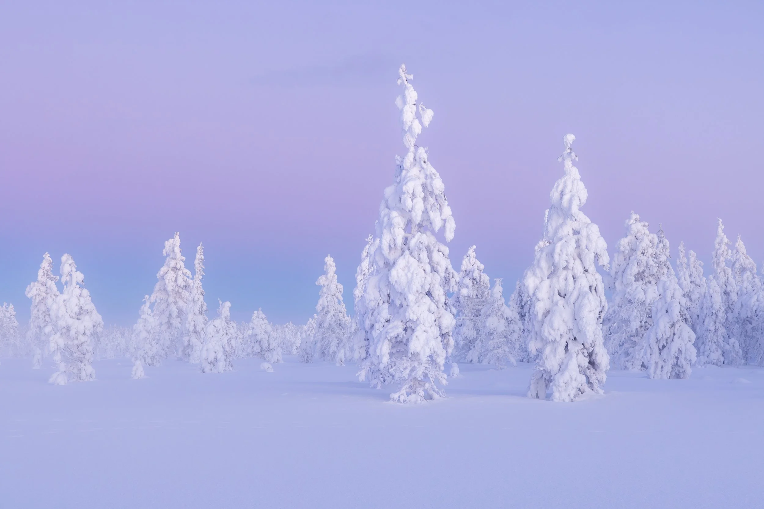 Lapland winter 131.jpg