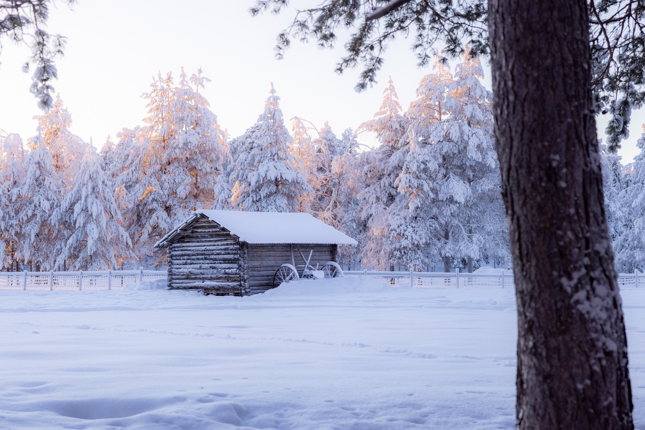 Lapland winter 128.jpg