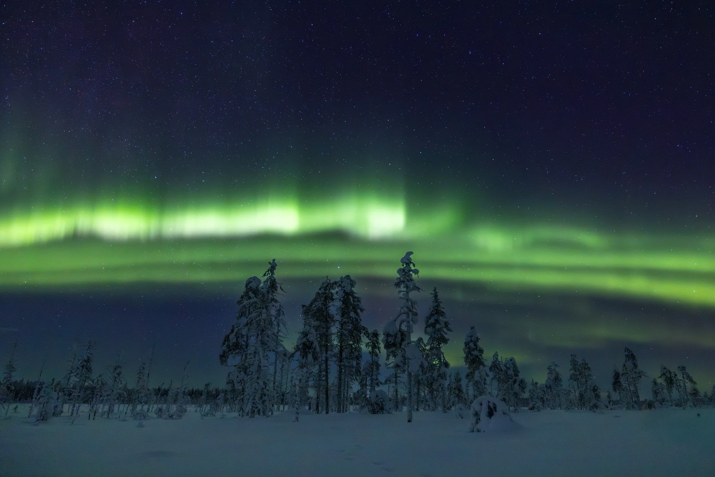 Lapland winter 133.jpg