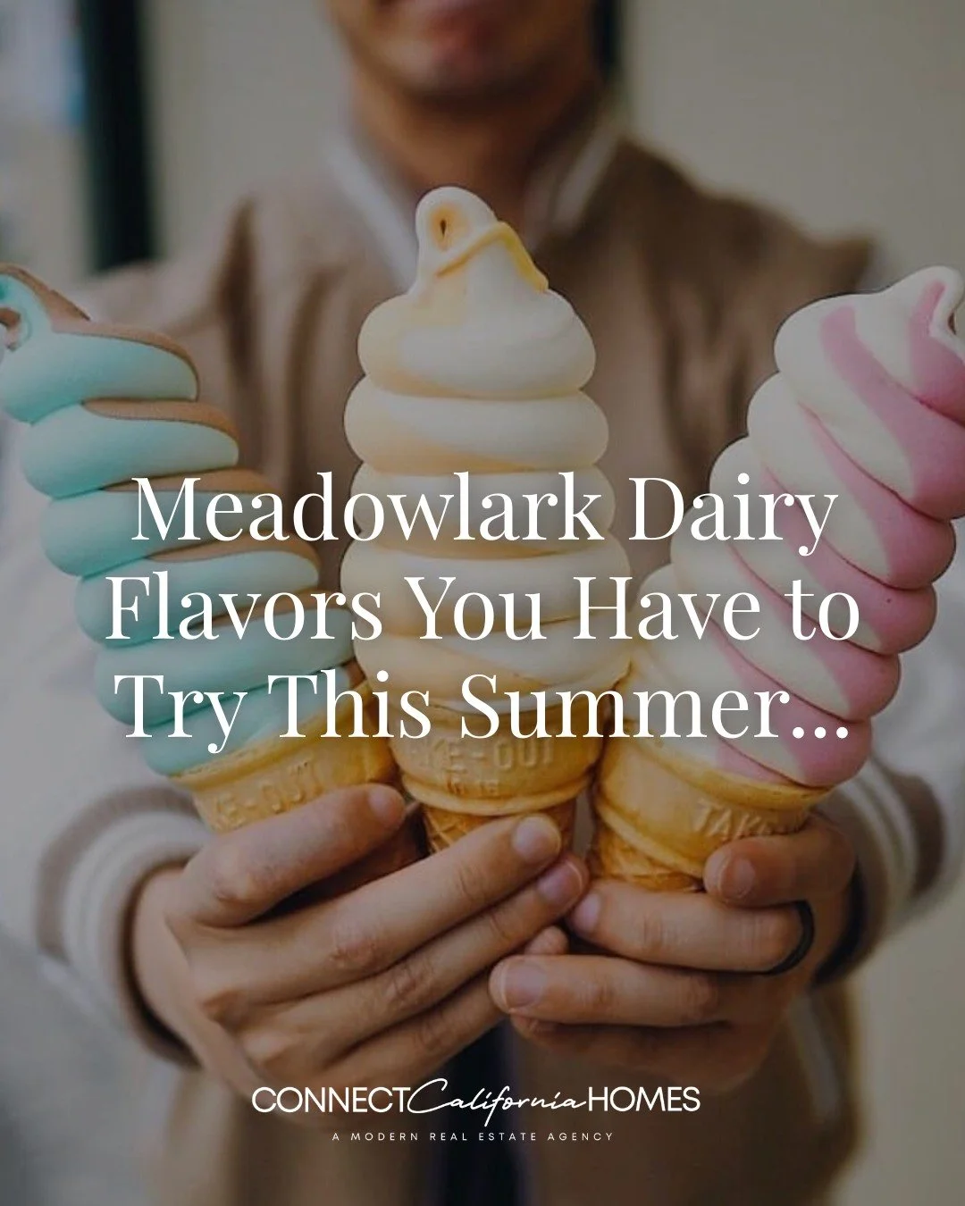 Meadowlark Dairy is a gem of Pleasanton and is serving up the kind of soft serve that keeps things simple in the best way 🍦✨

📍57 W, Neal St, Pleasanton, CA.

From classic vanilla and chocolate to fruity favorites like strawberry, pineapple, and or