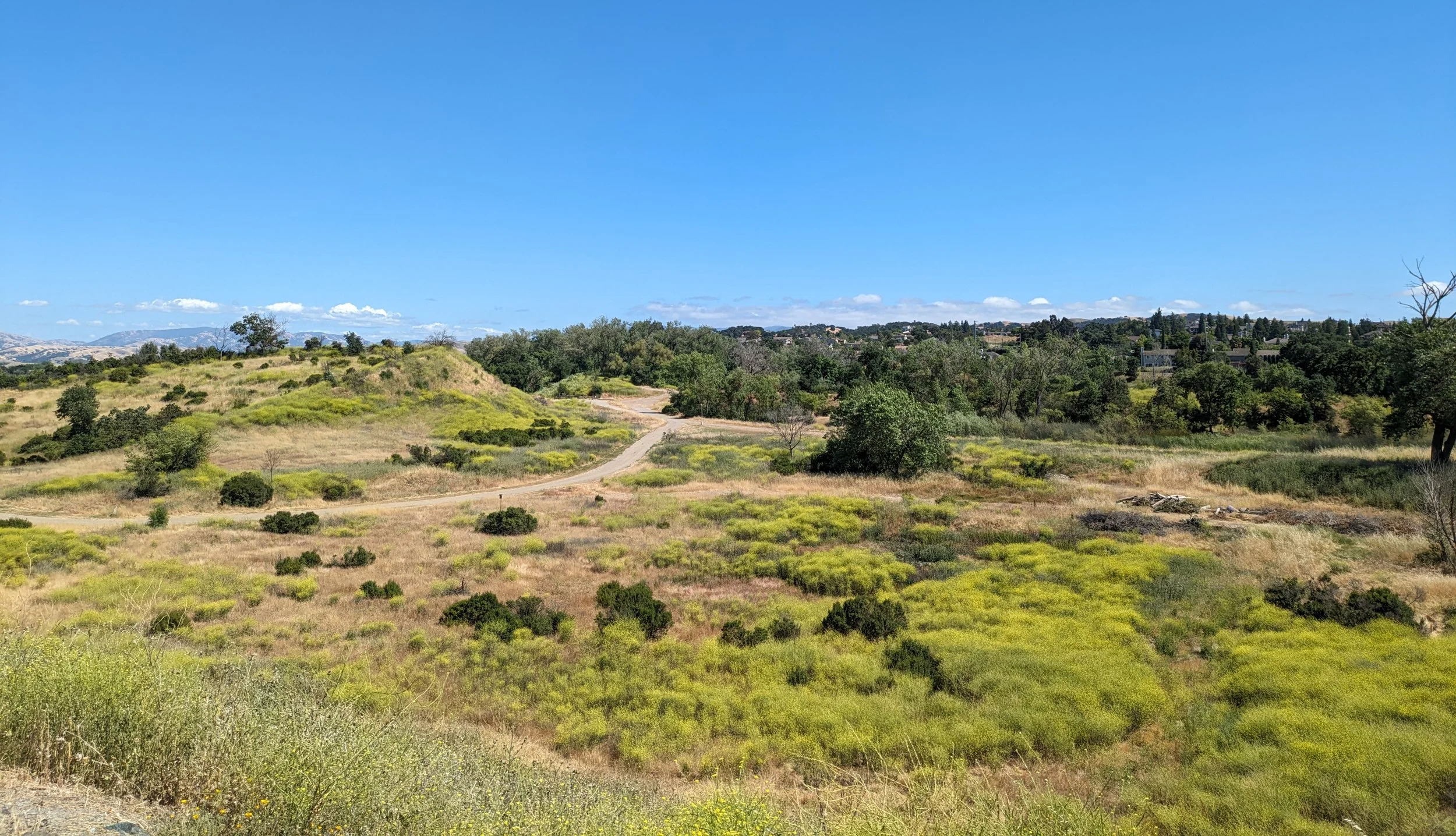 Shadow Cliffs Regional Recreation Area