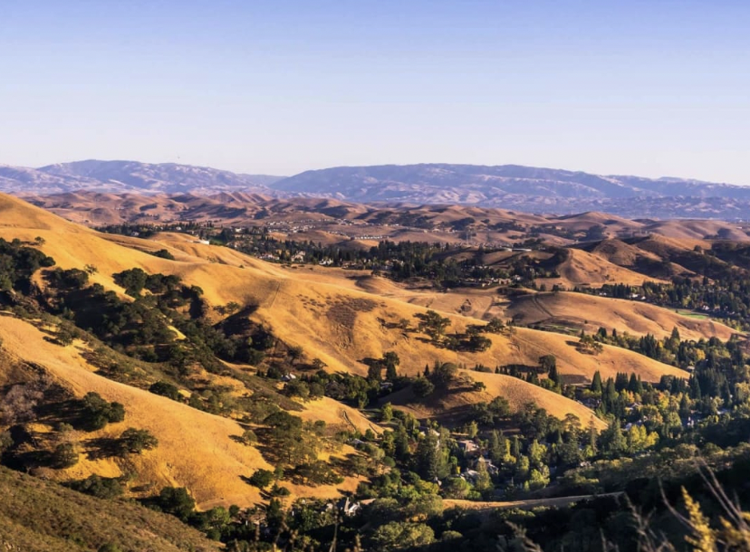 Screen Shot 2023-03-07 at 11.49.26 AM.png