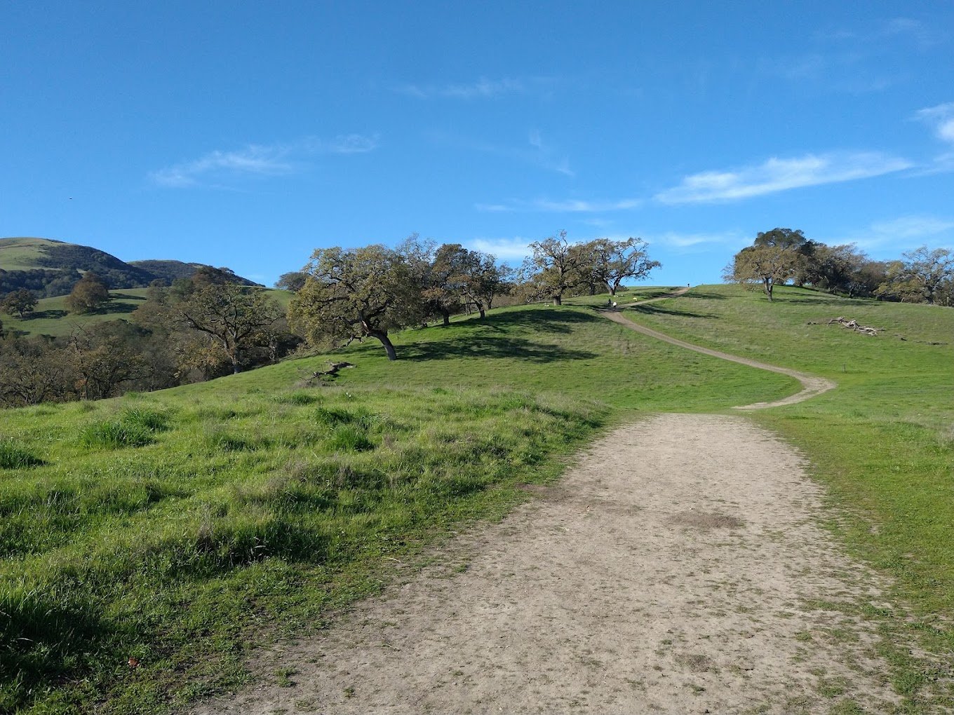 Bishop Ranch Regional Preserve