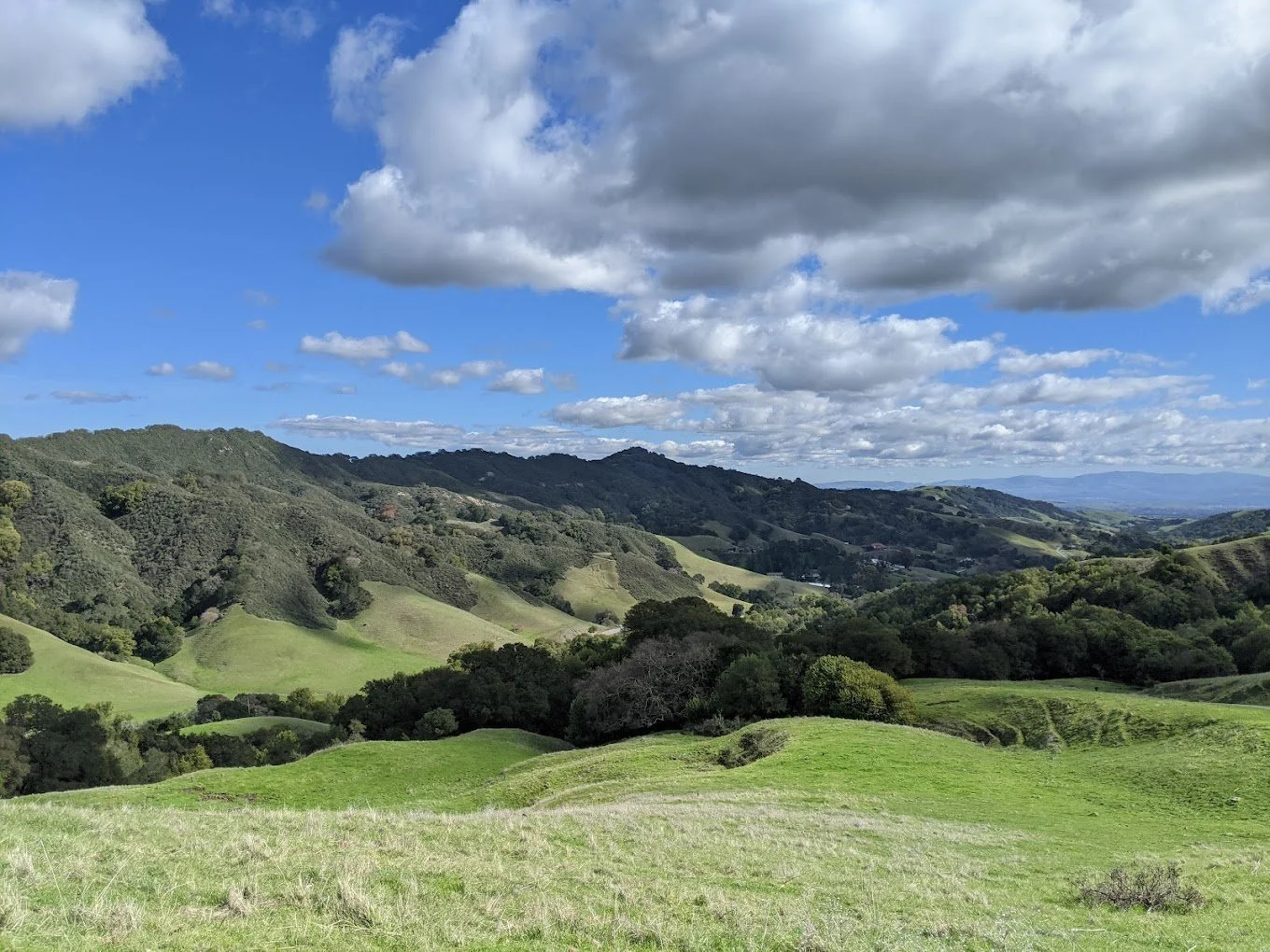 Las Trampas Regional Wilderness in San Ramon, CA