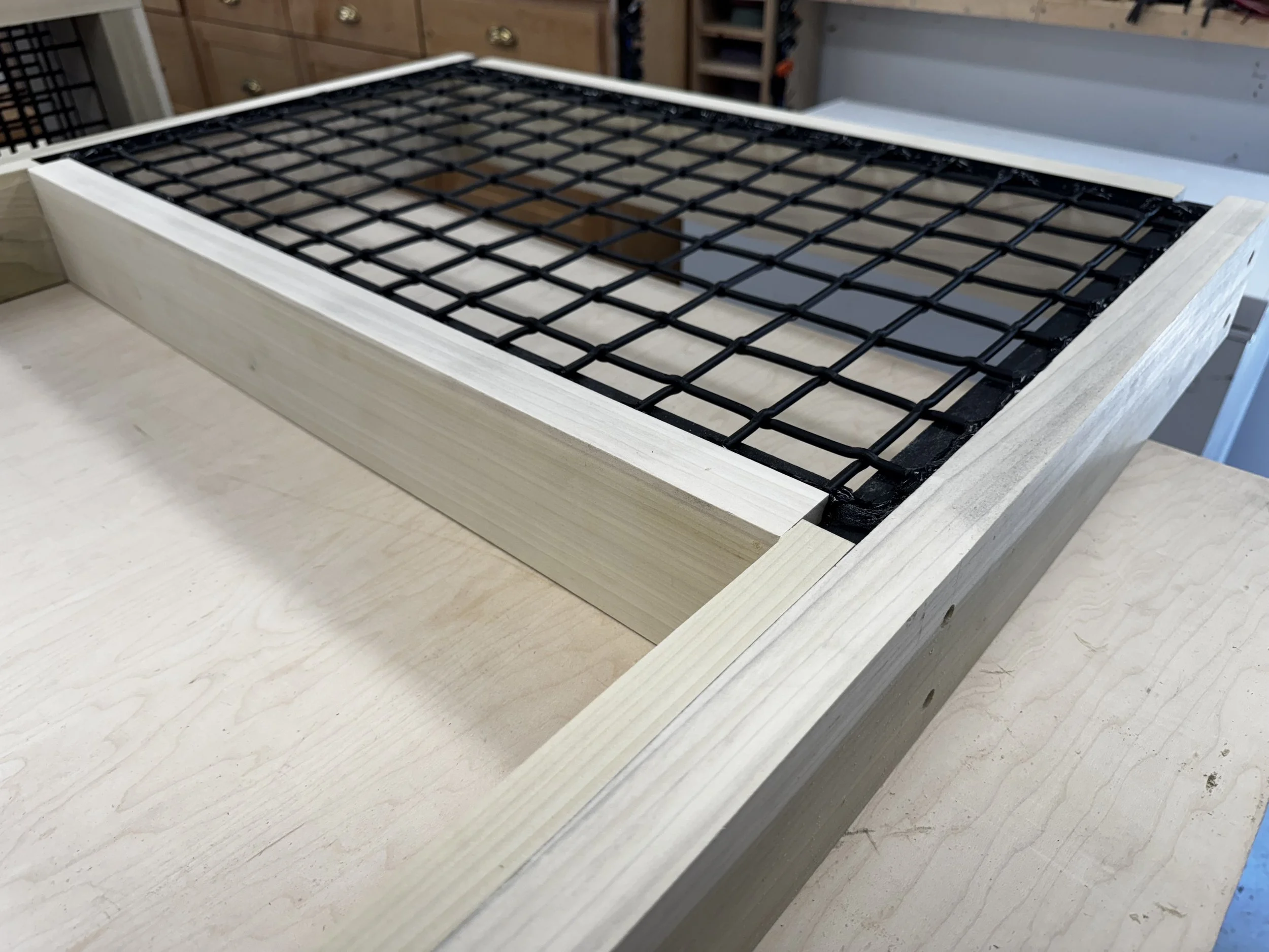 Custom interior catio with architectural mesh panels.