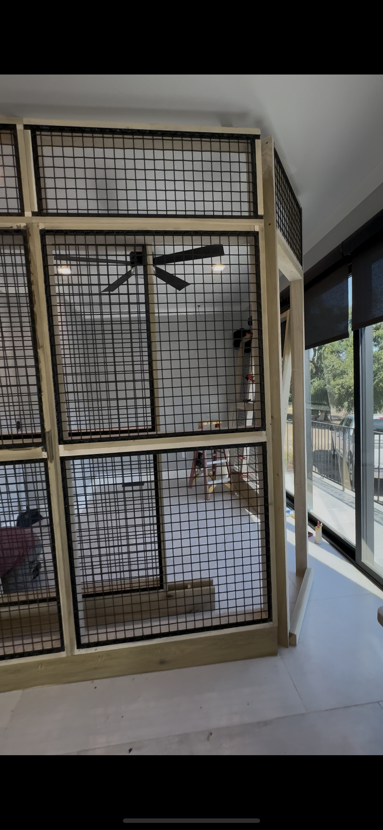 Custom interior catio with architectural mesh panels.