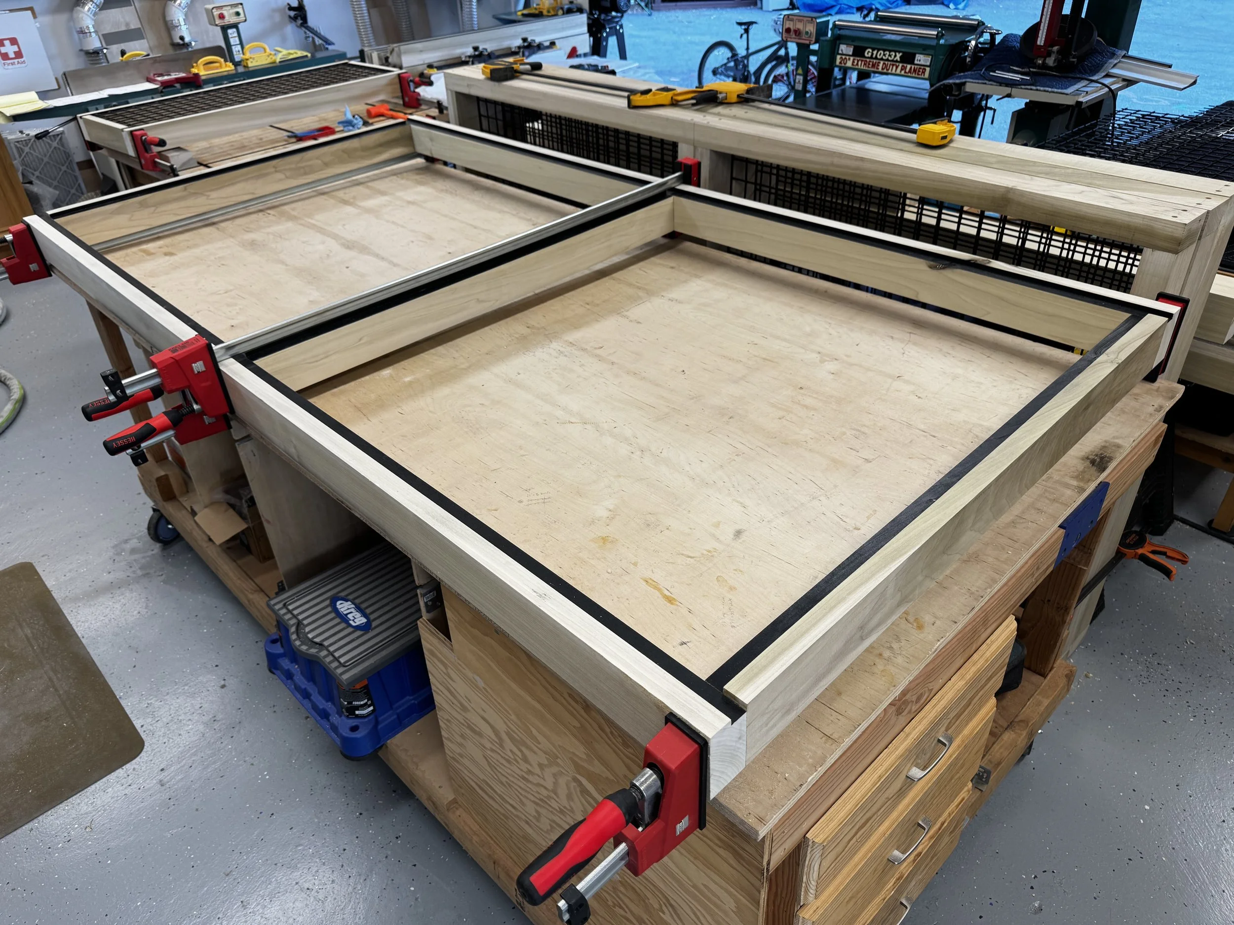 Custom interior catio with architectural mesh panels.