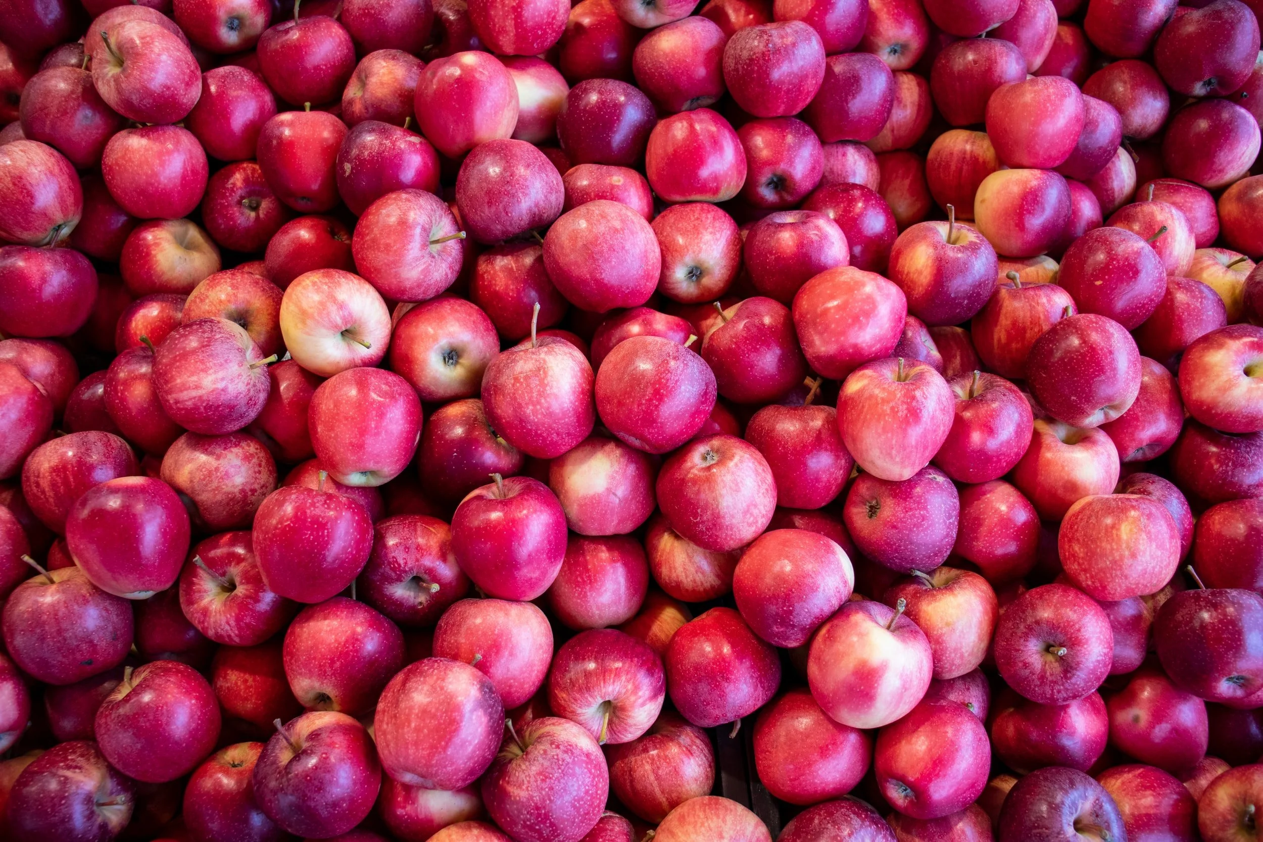 Apple Agricultural Research Projects