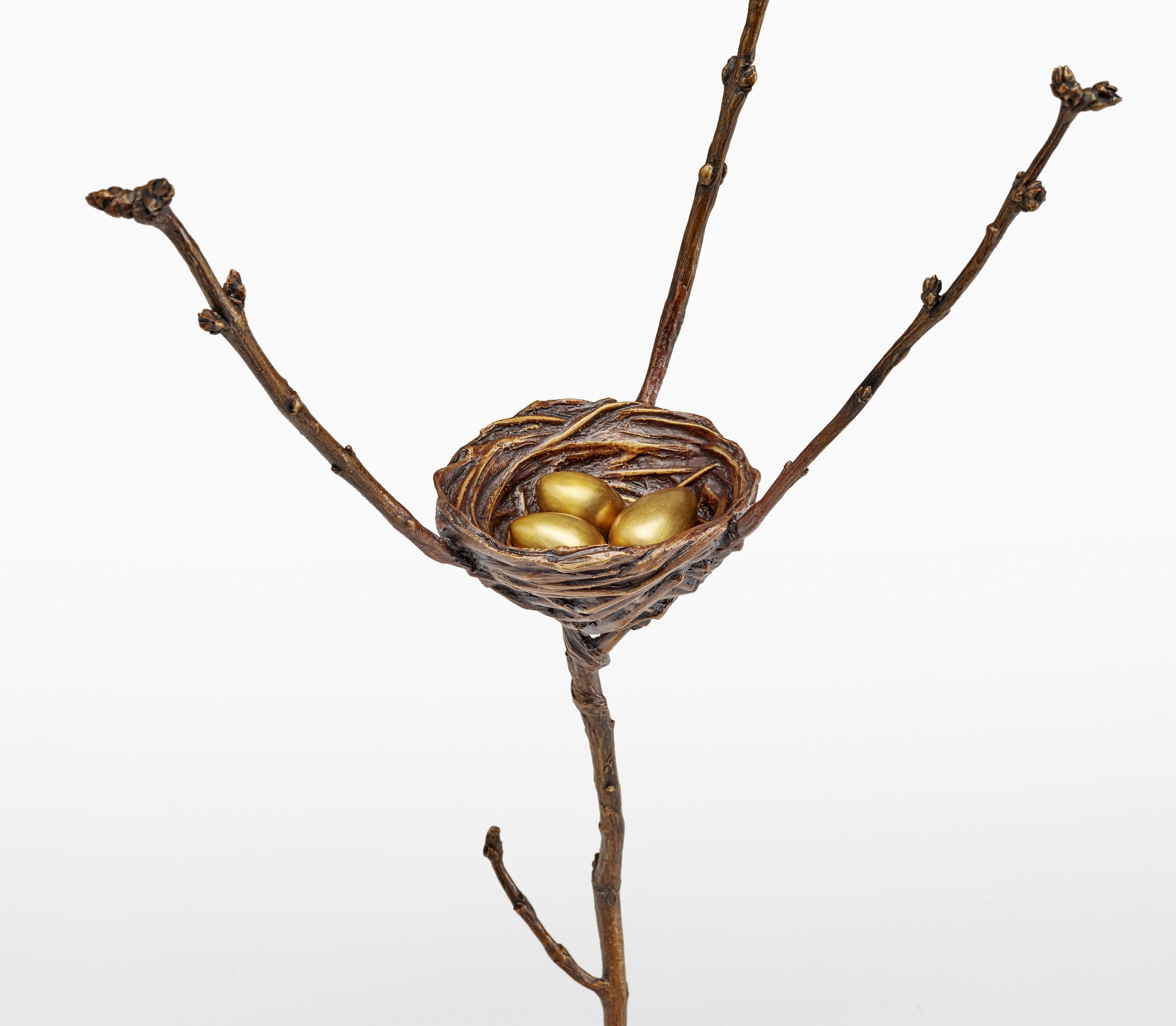 LBG.Lilacnestw.eggs.jpg