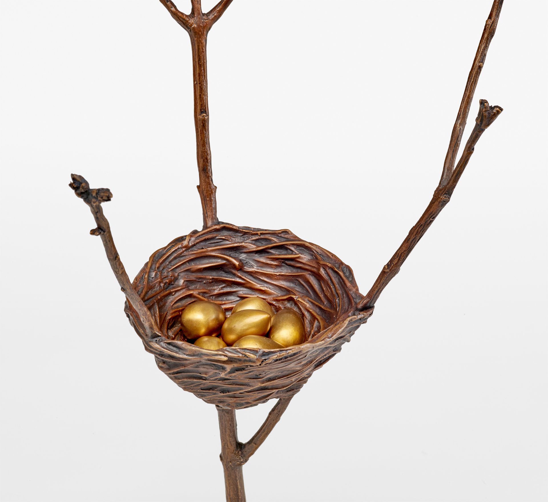 nest, many eggs.Zapp copy.jpg