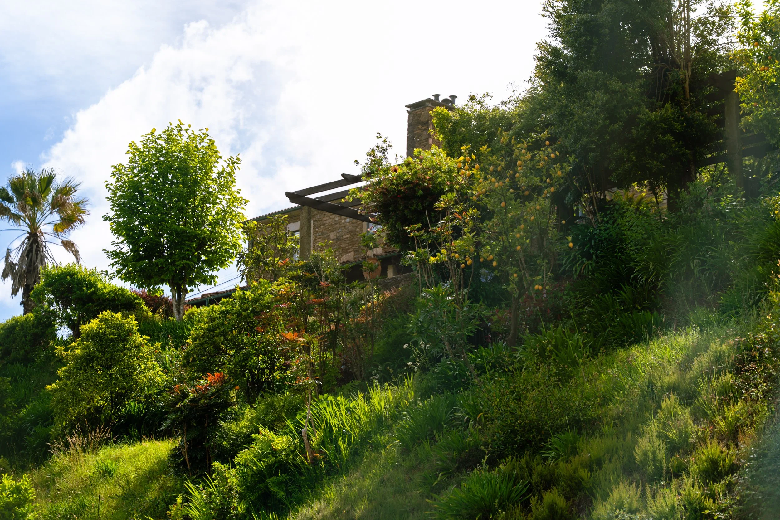 DSC08898.jpg